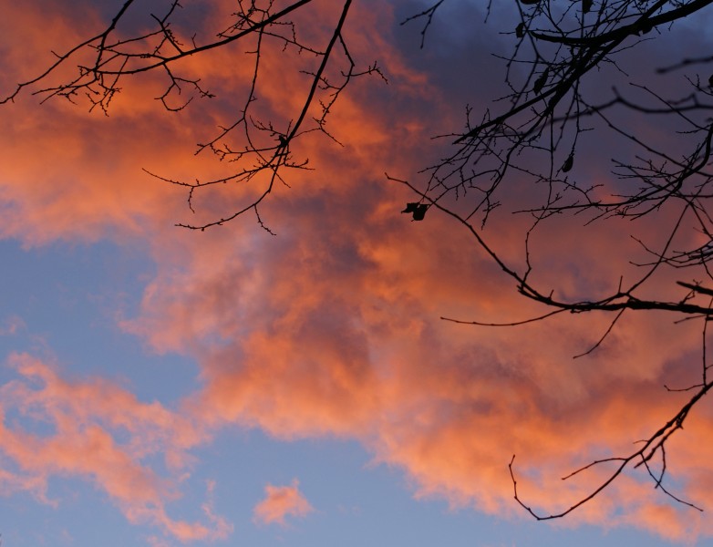 Solnedgang 2 (1618550437)