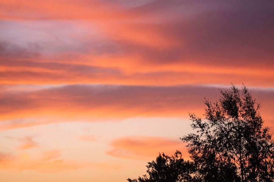 Sunset - 24th June 2009 (3658600098)