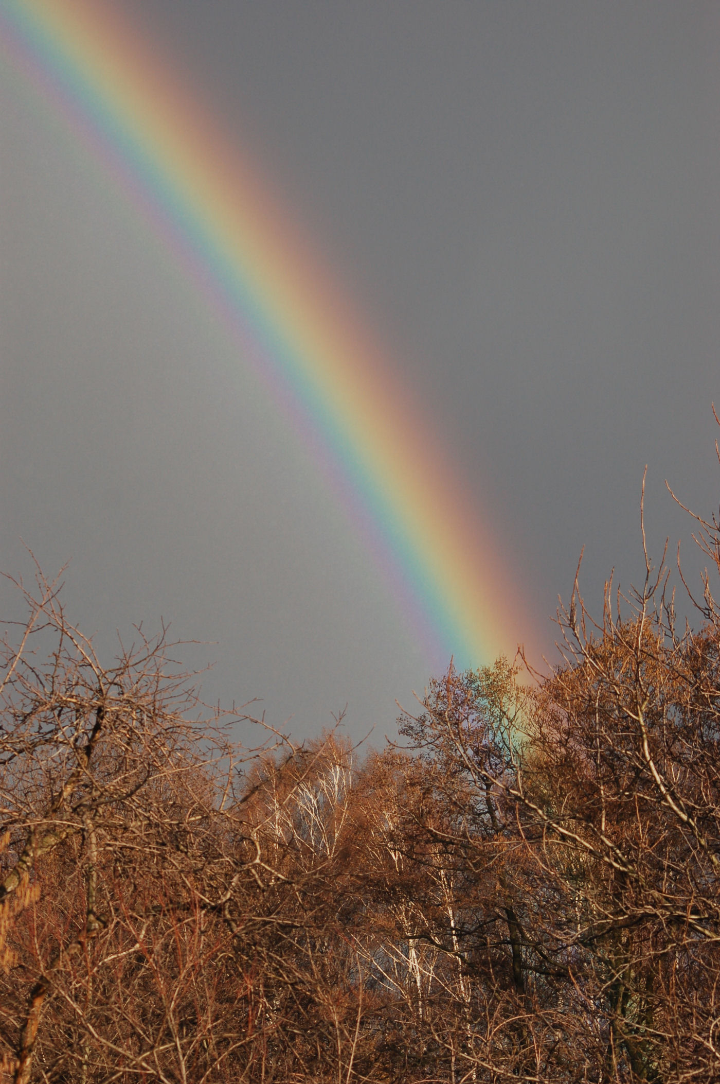 Rainbow 001