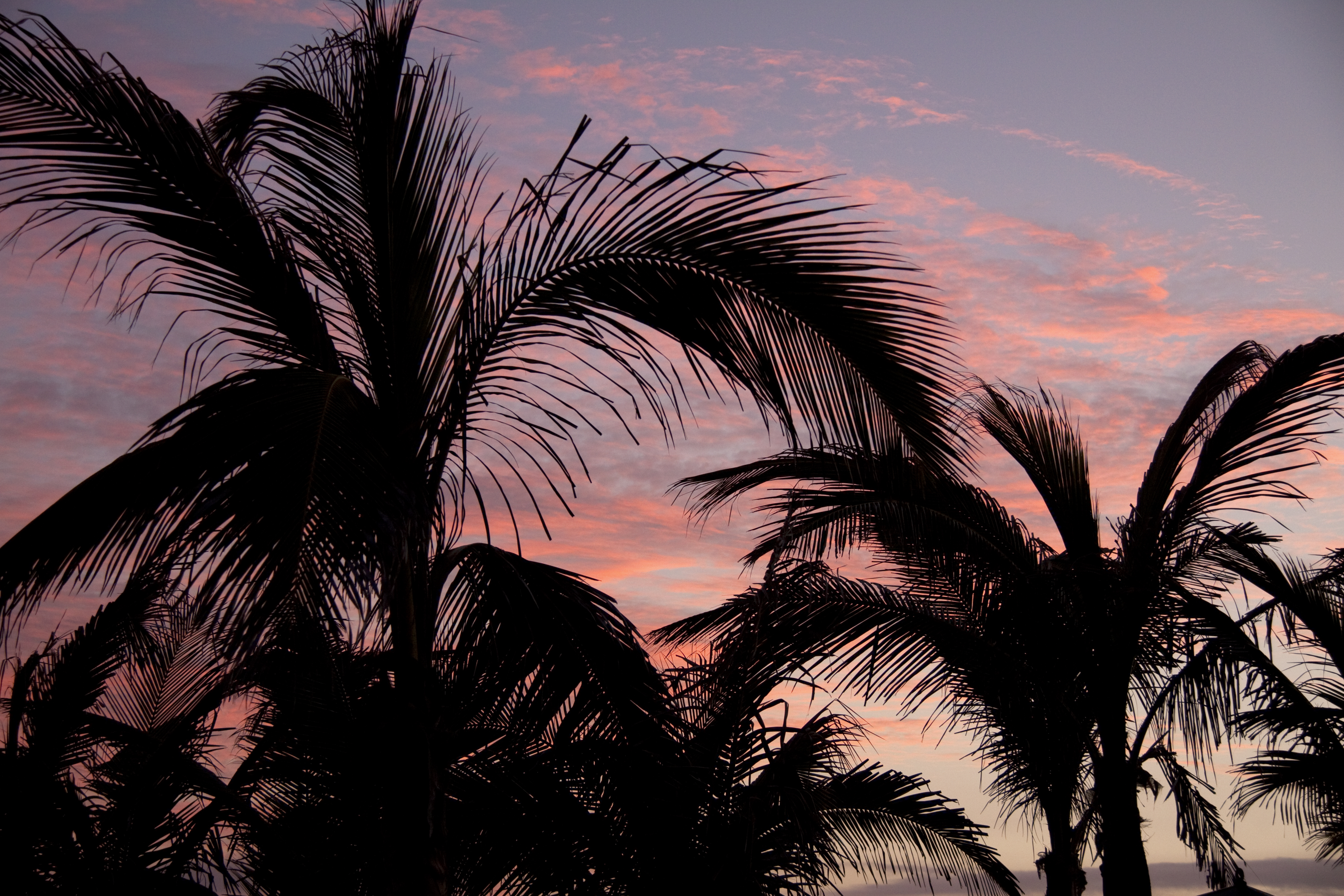 Sunset1 (5492541311)