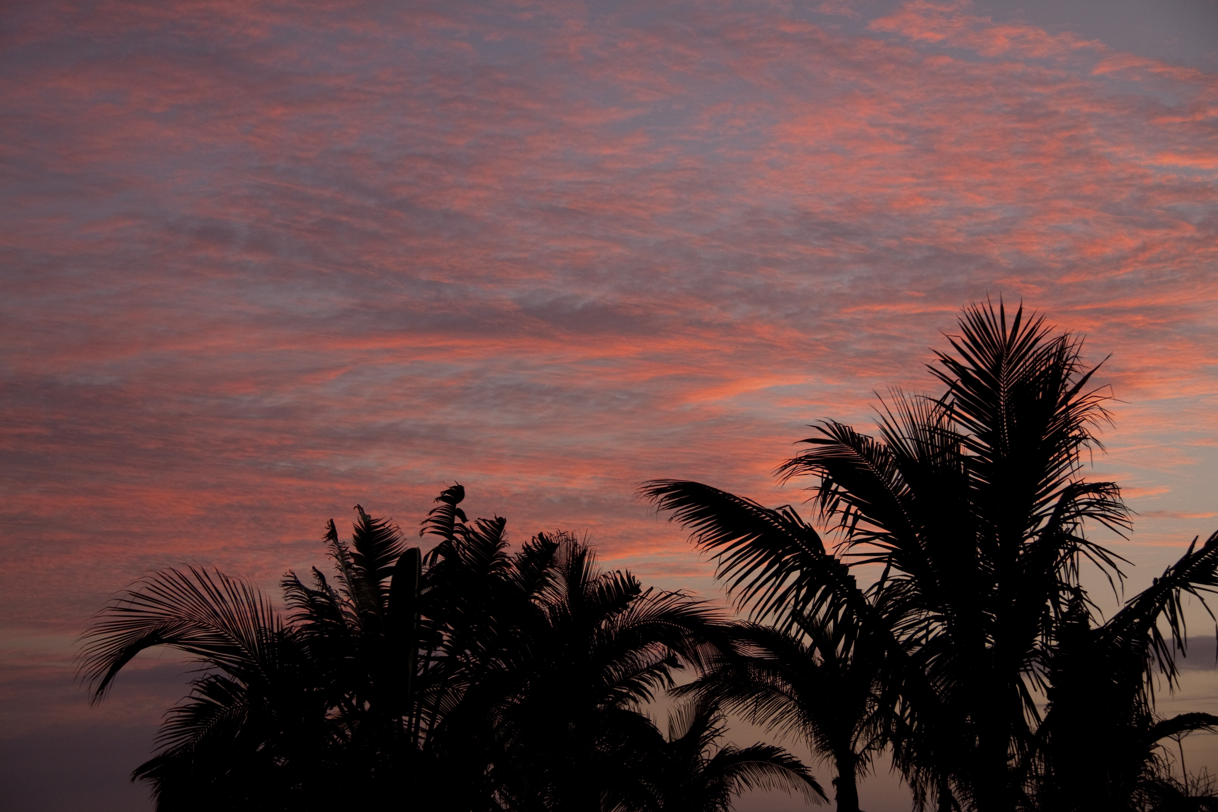 Sunset1a (5492537079)