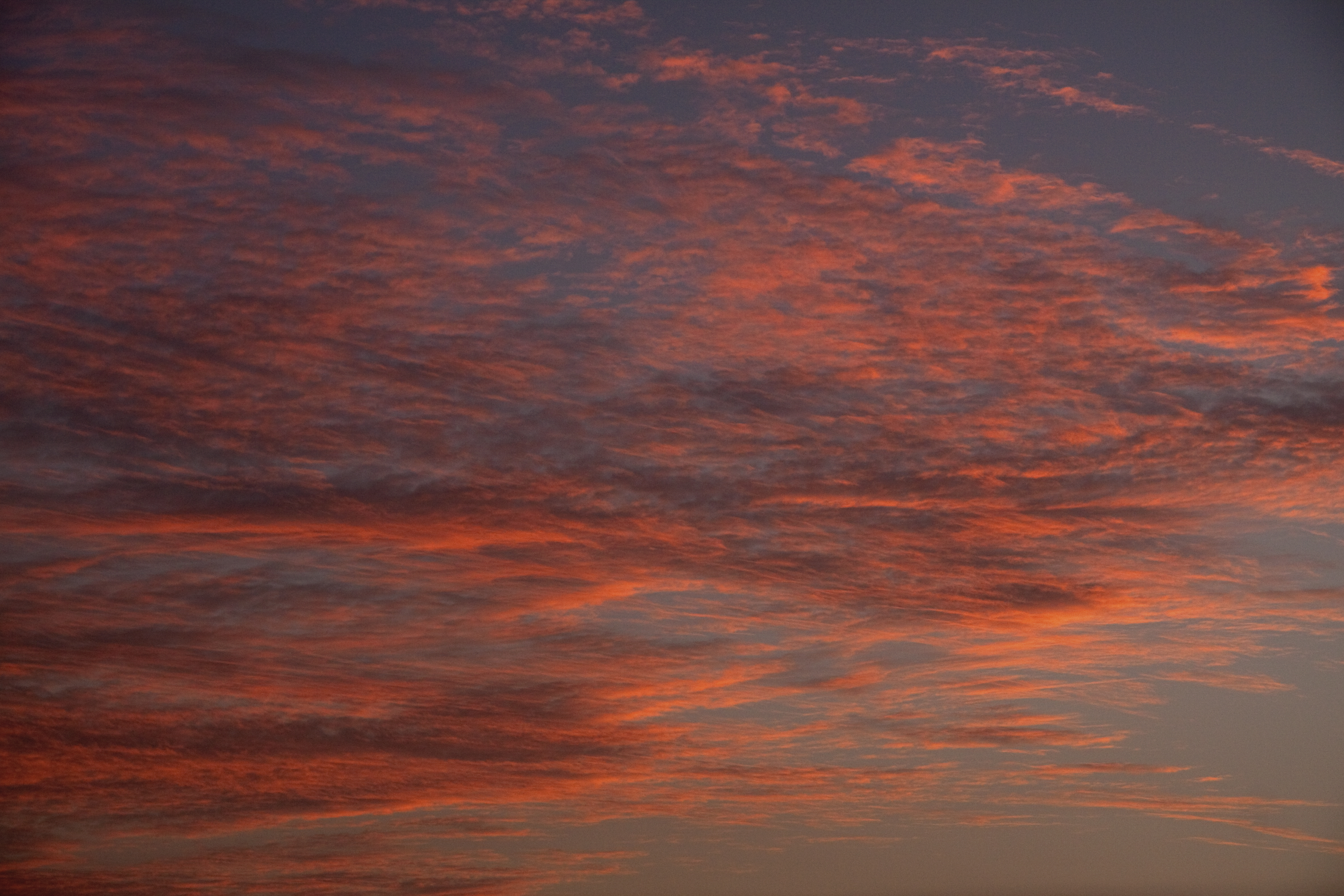 Sunset2 (5493139830)