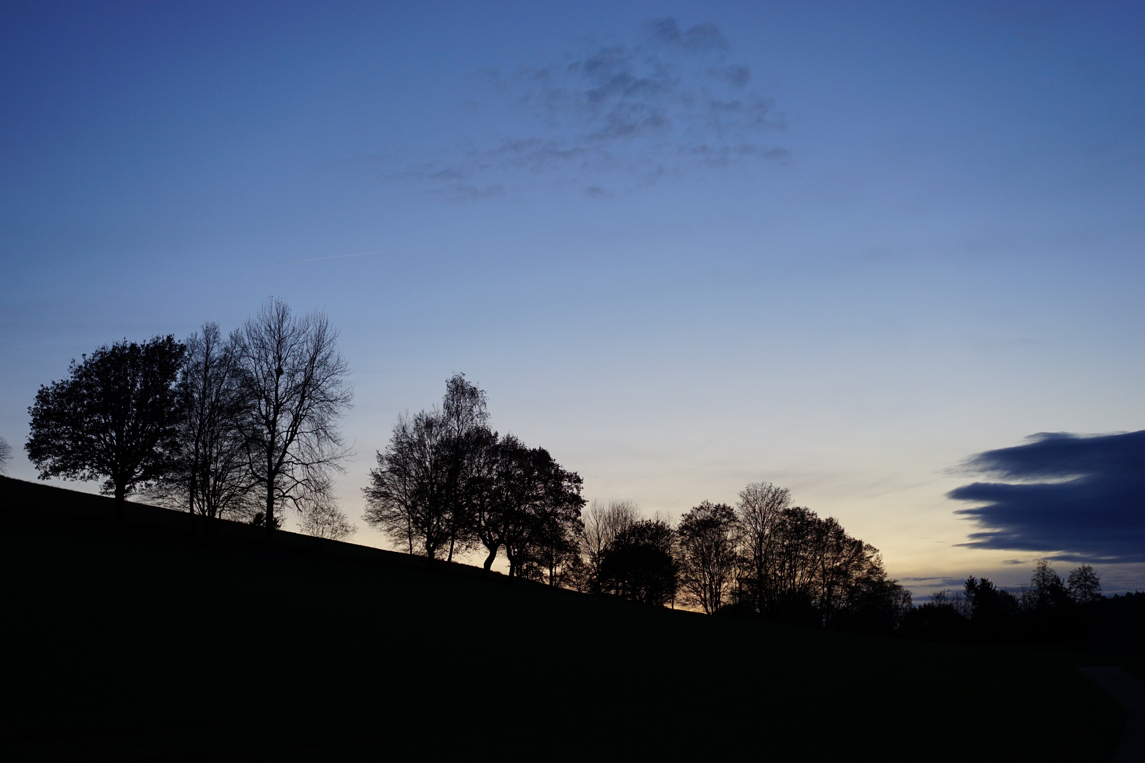Neckargerach - Mittelberg - Baumsilhouetten bei Sonnenuntergang