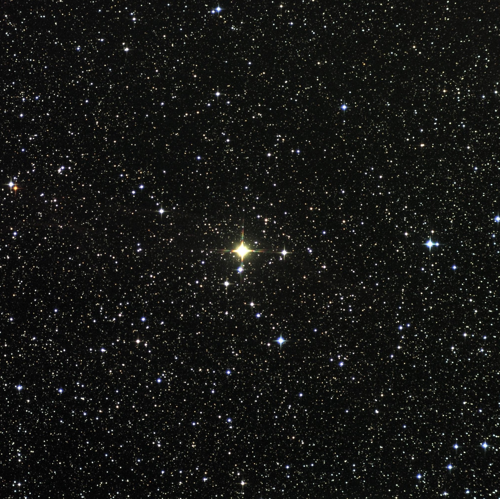 32 cyg 