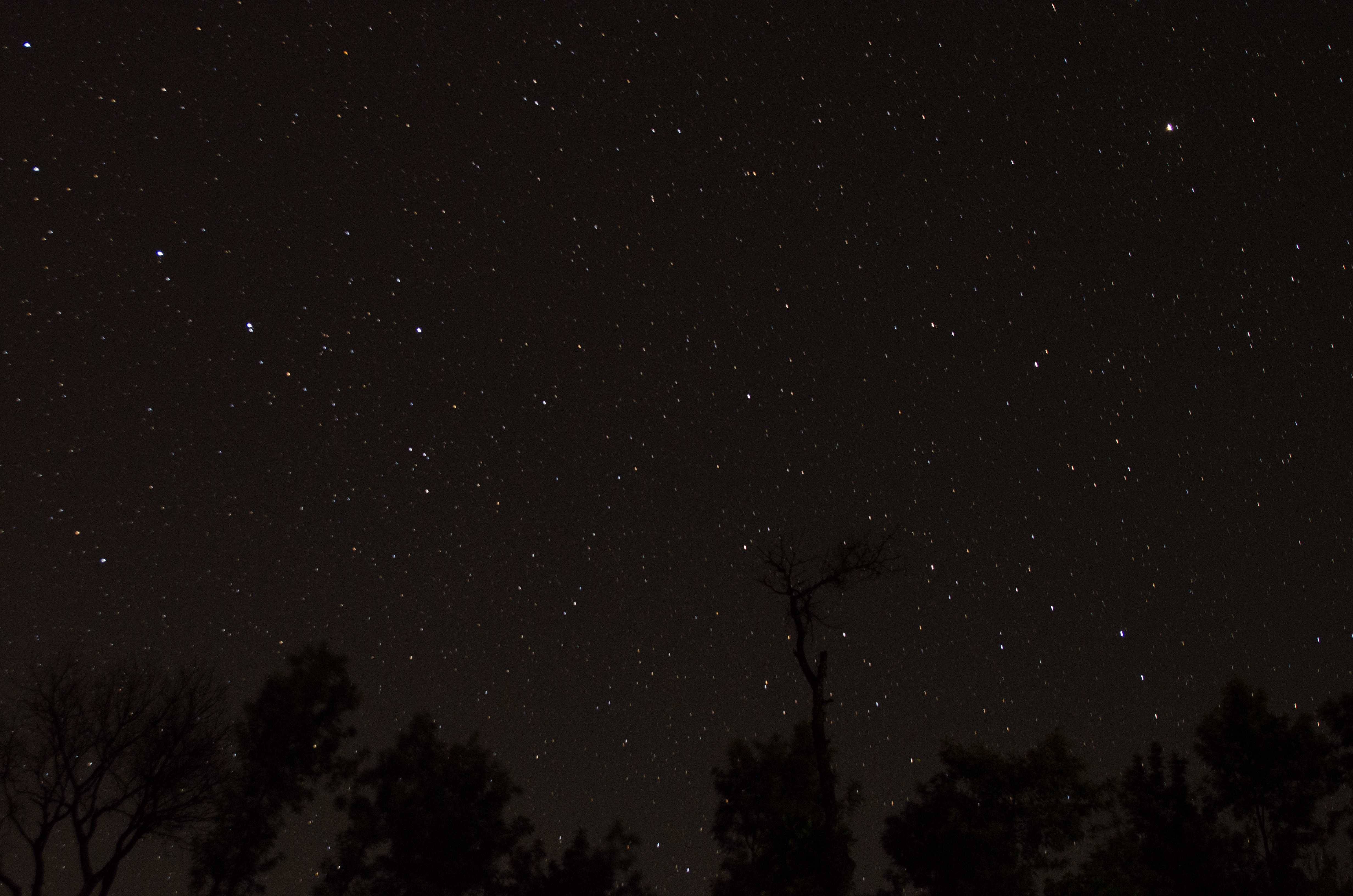 Coorg Night Sky (18288163016)