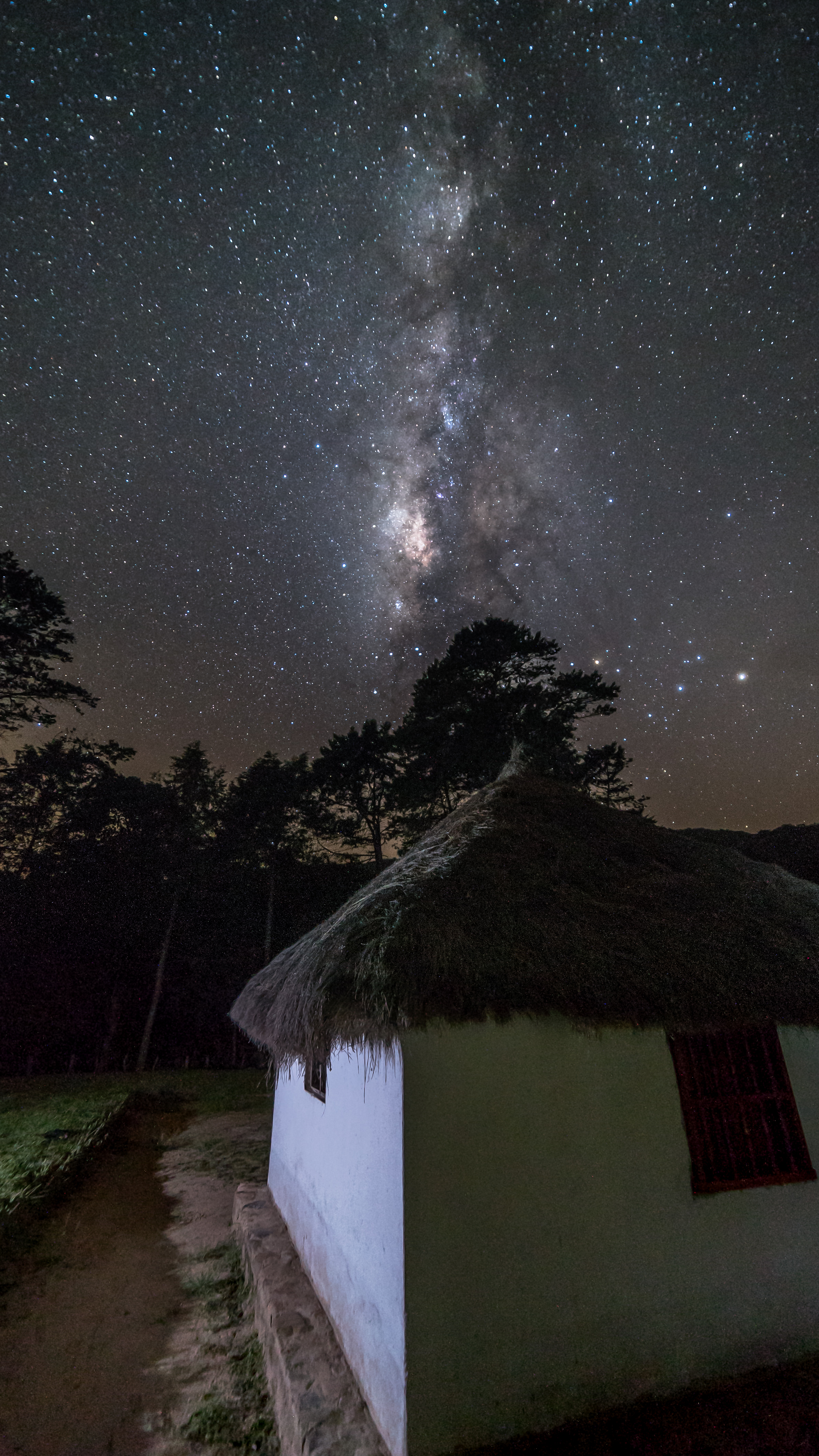 Iluminados por las estrellas