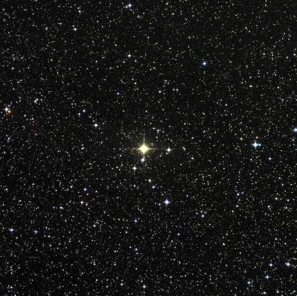 32 cyg 