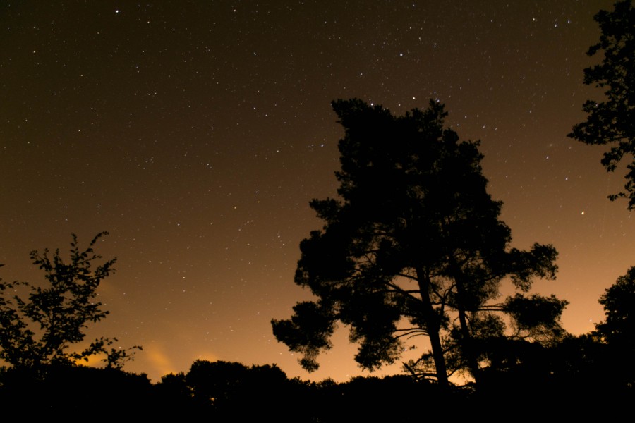 Étang du Coupe-Gorge de nuit 06