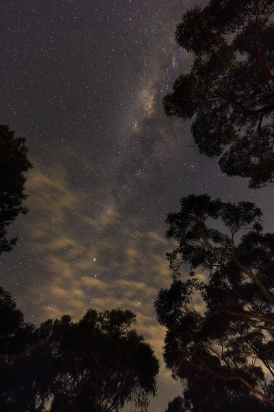 Celestial (7231470894)