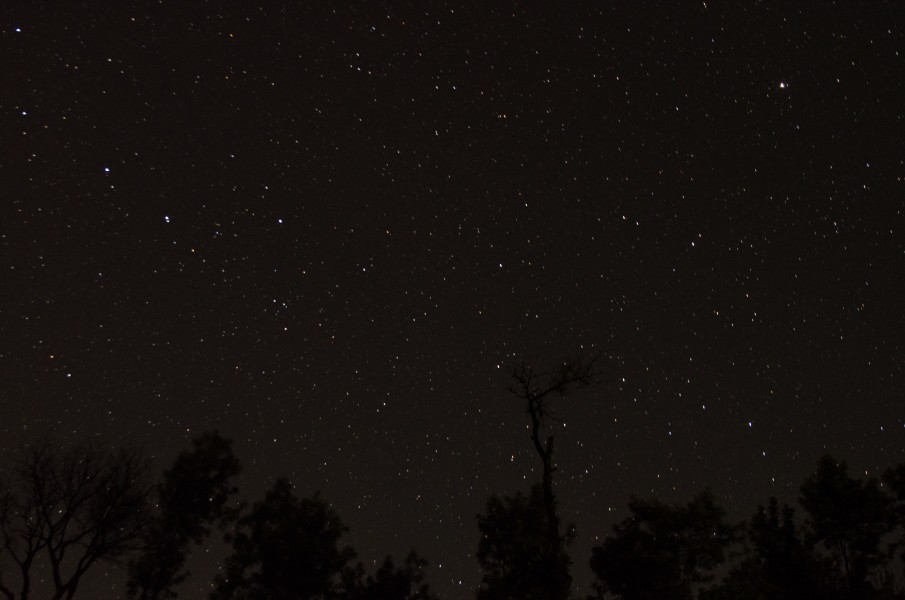 Coorg Night Sky (18288163016)