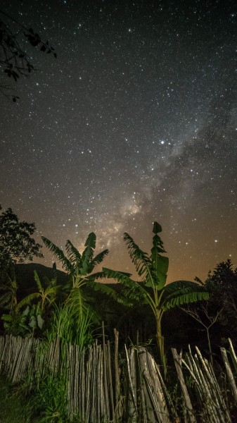 Galactic Bananas