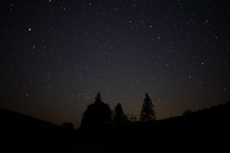 Night-sky-stars-forest-trees - West Virginia - ForestWander