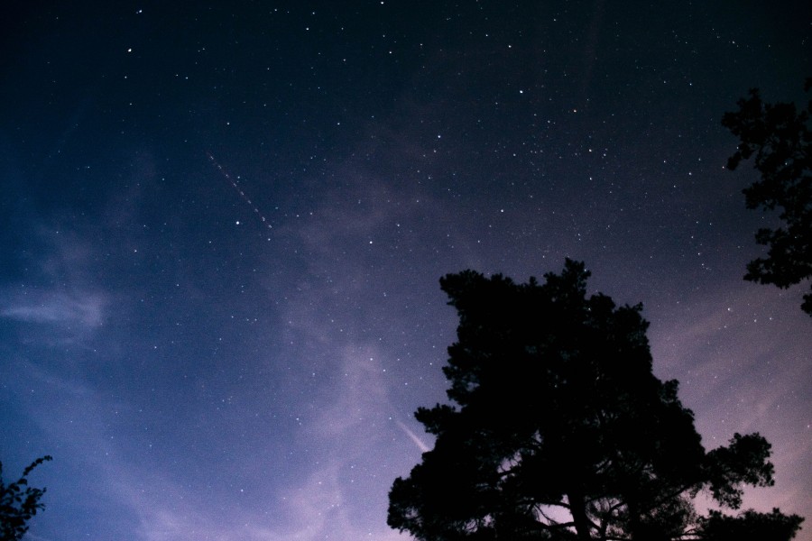 Nuit étoilée en forêt de Rambouillet — 01