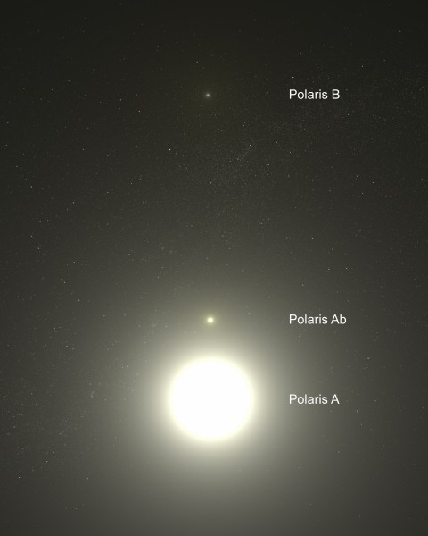 Polaris system
