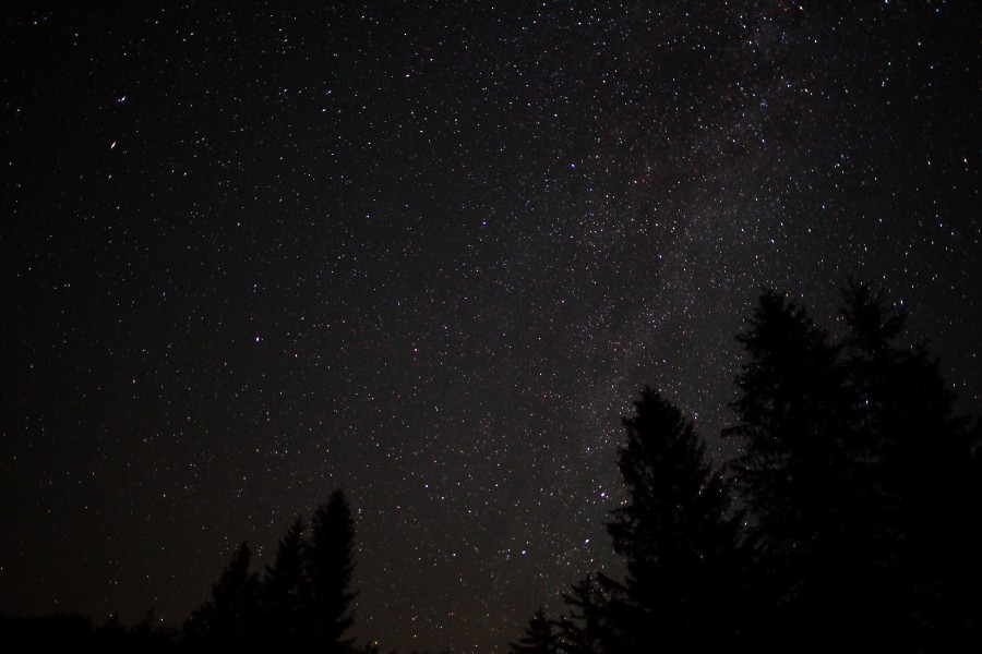 Spruce-forest-night-sky-stars - West Virginia - ForestWander