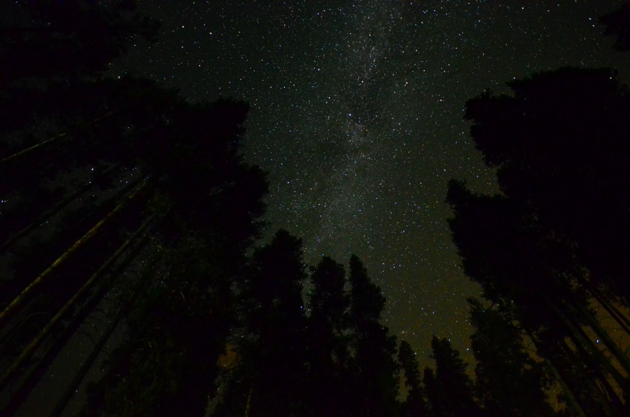 Starry Sky (7825874678)