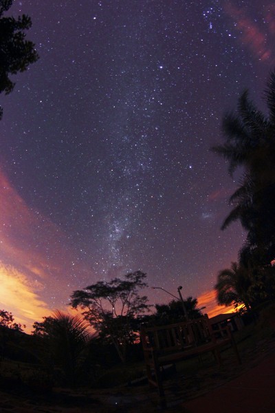 Stars In The Field