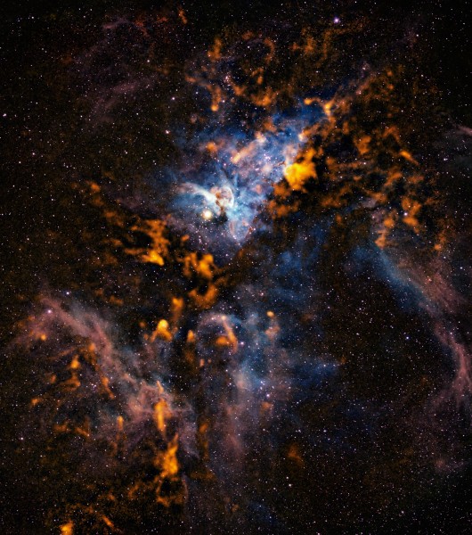 The Cool Clouds of Carina