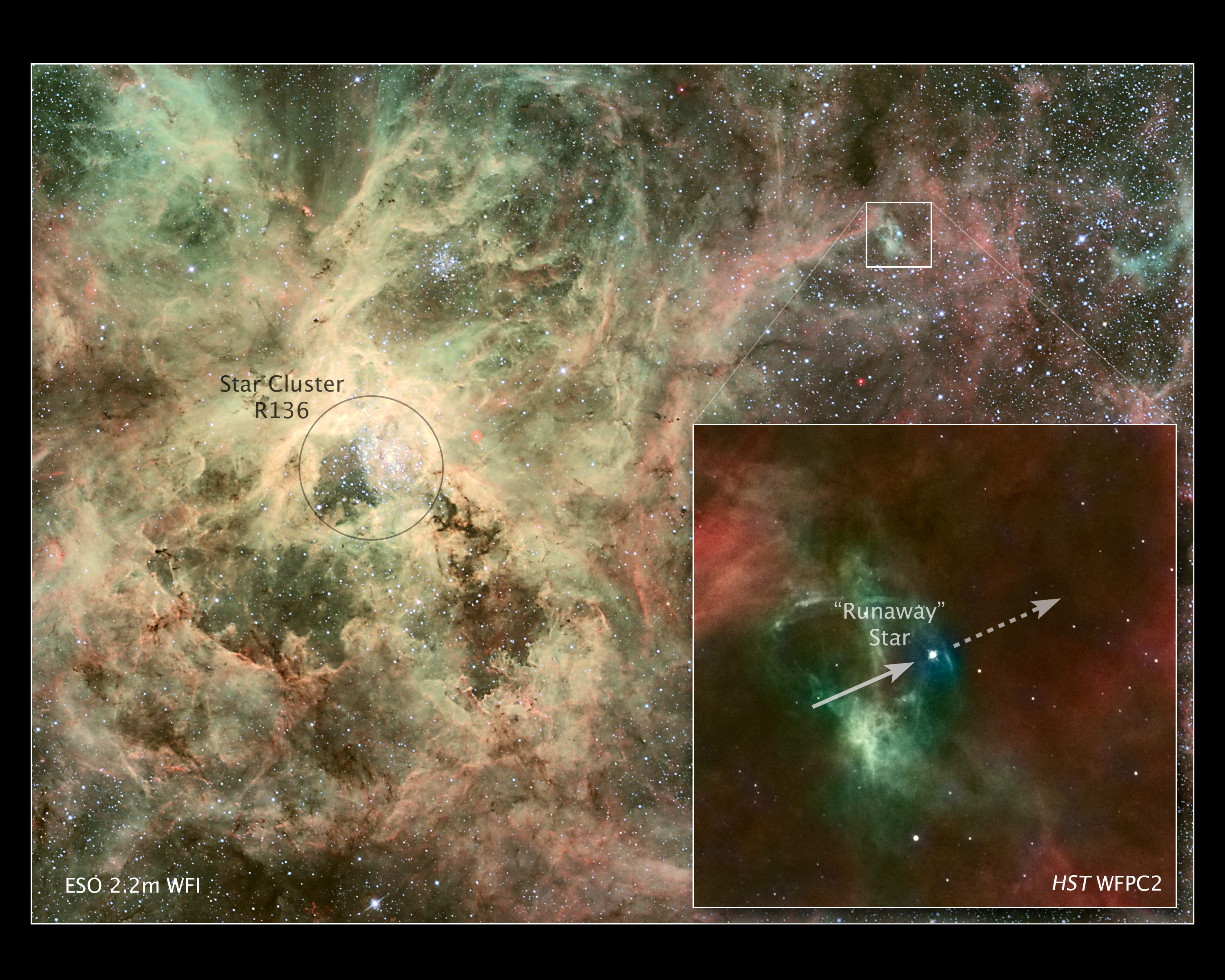 Runaway star speeding from 30 Doradus