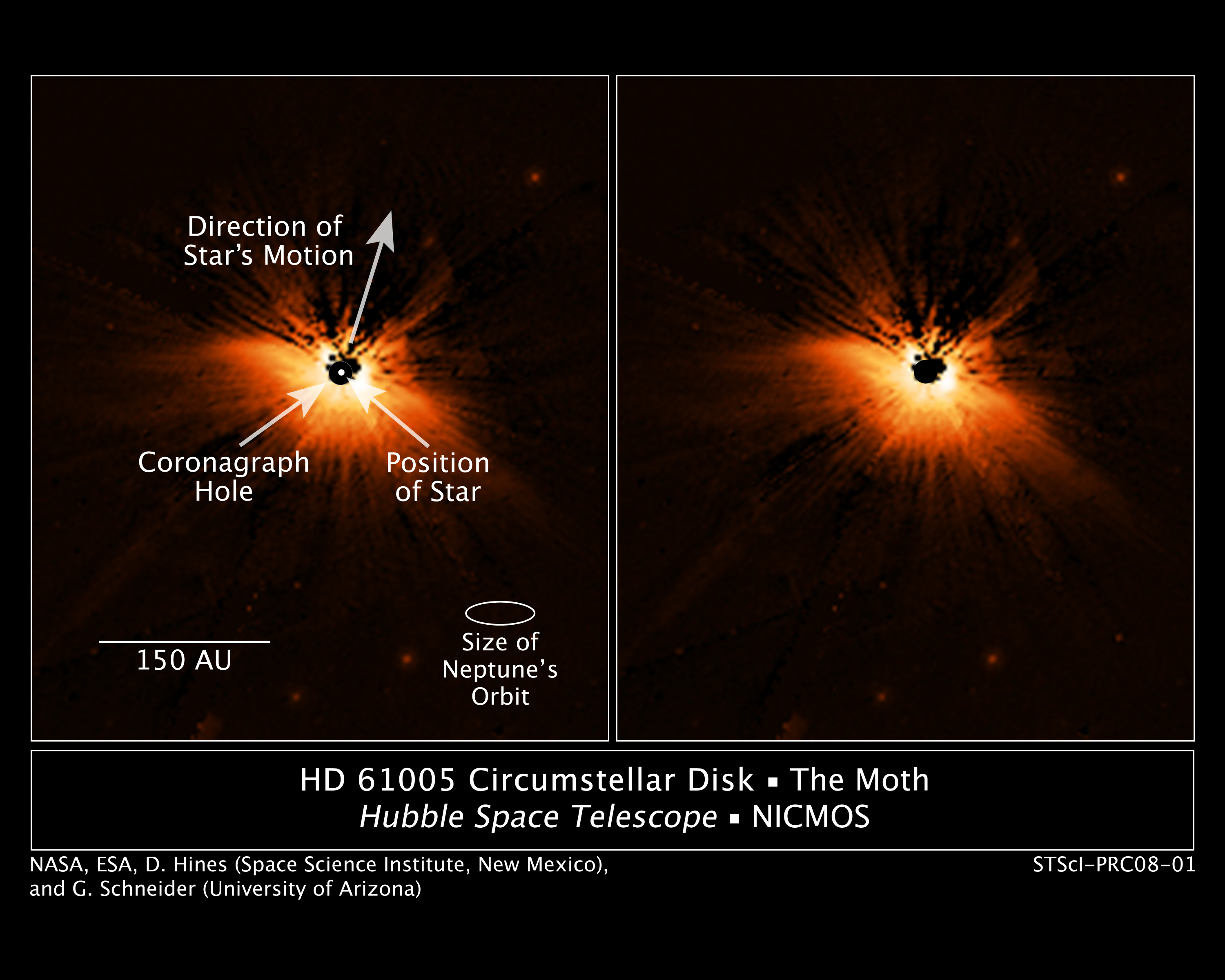 Star HD 61005