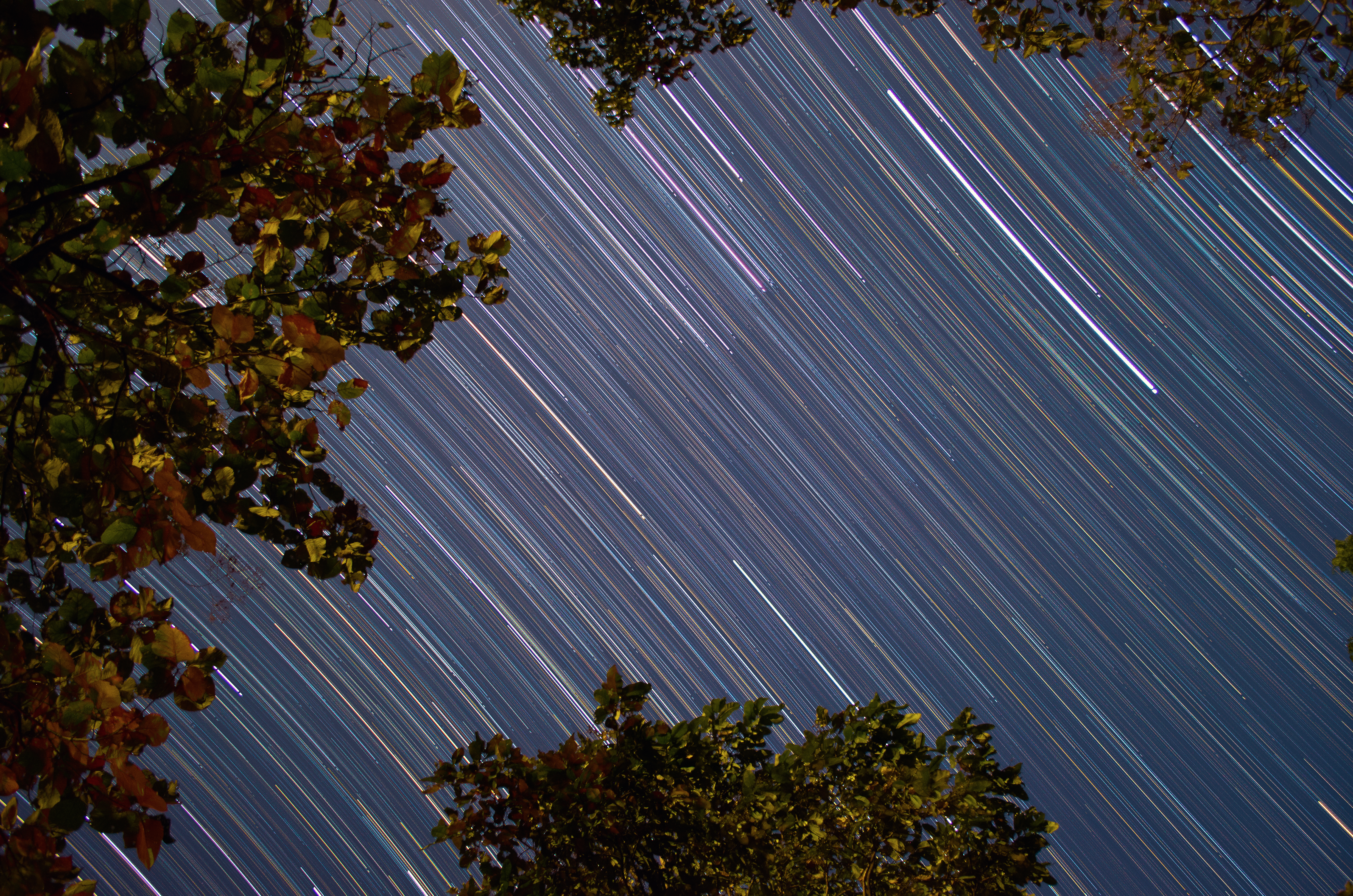 Star trails parabola