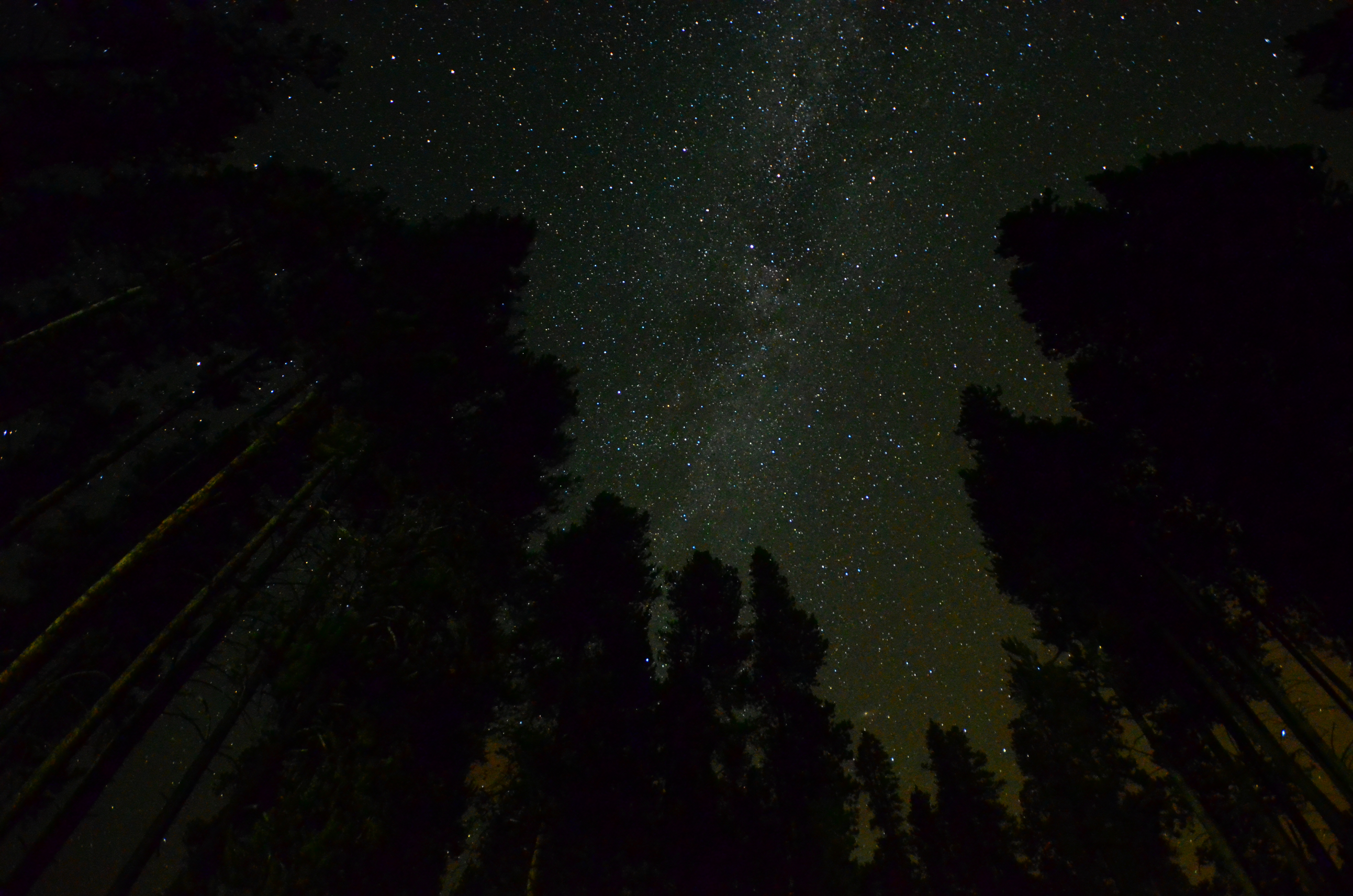 Starry Sky (7825874678)