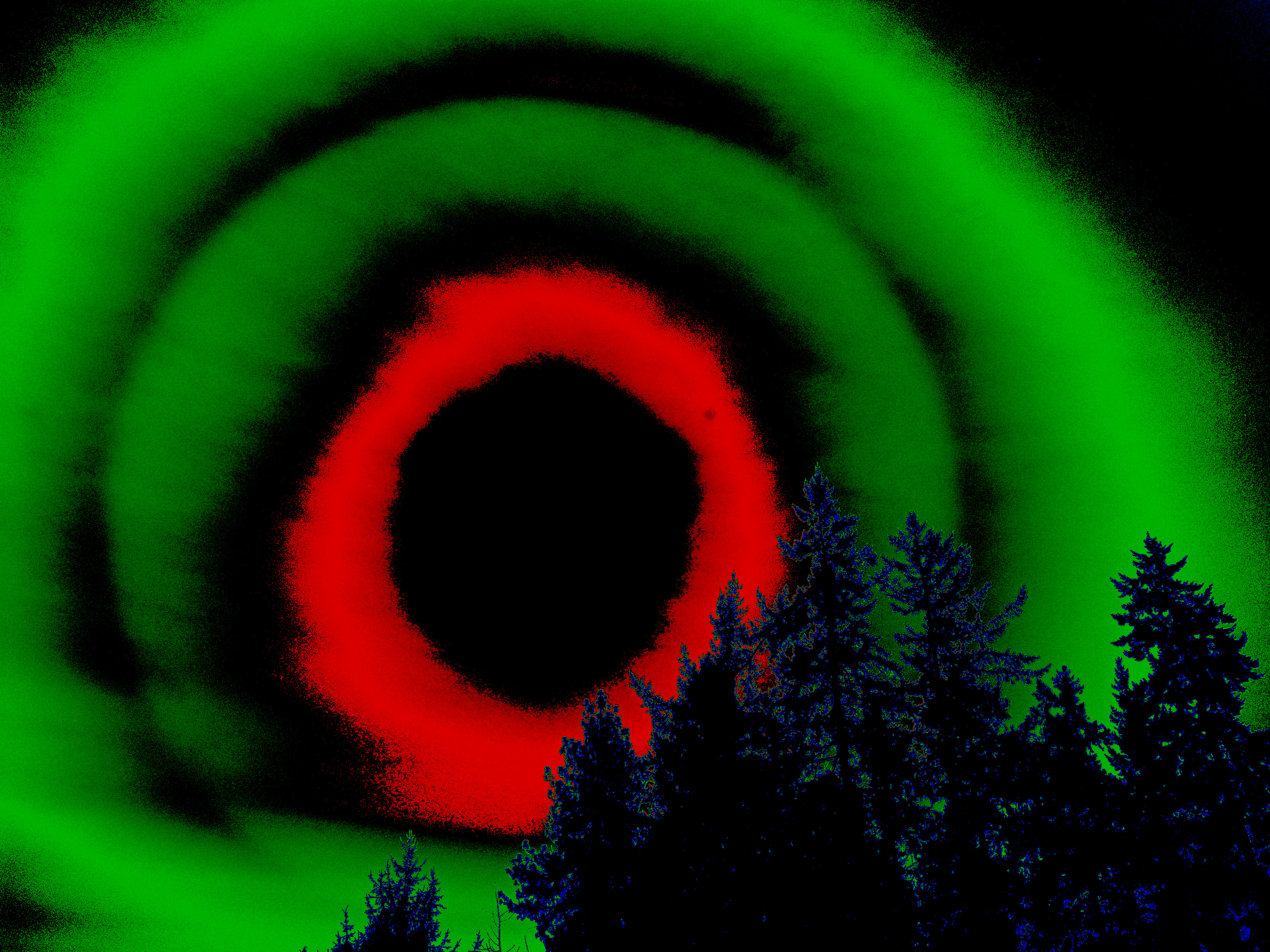 Sun Halo Trees Abstract