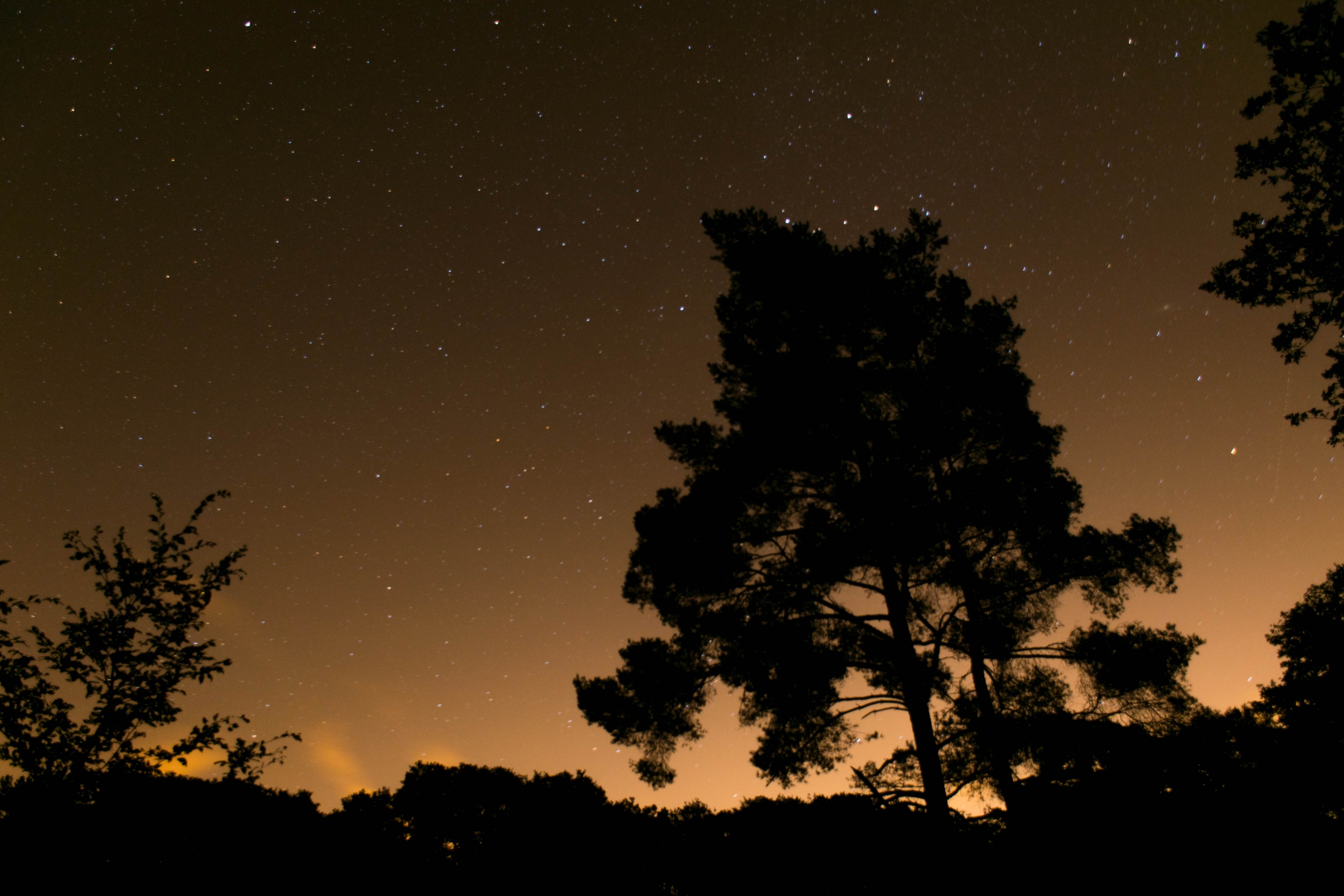 Étang du Coupe-Gorge de nuit 06