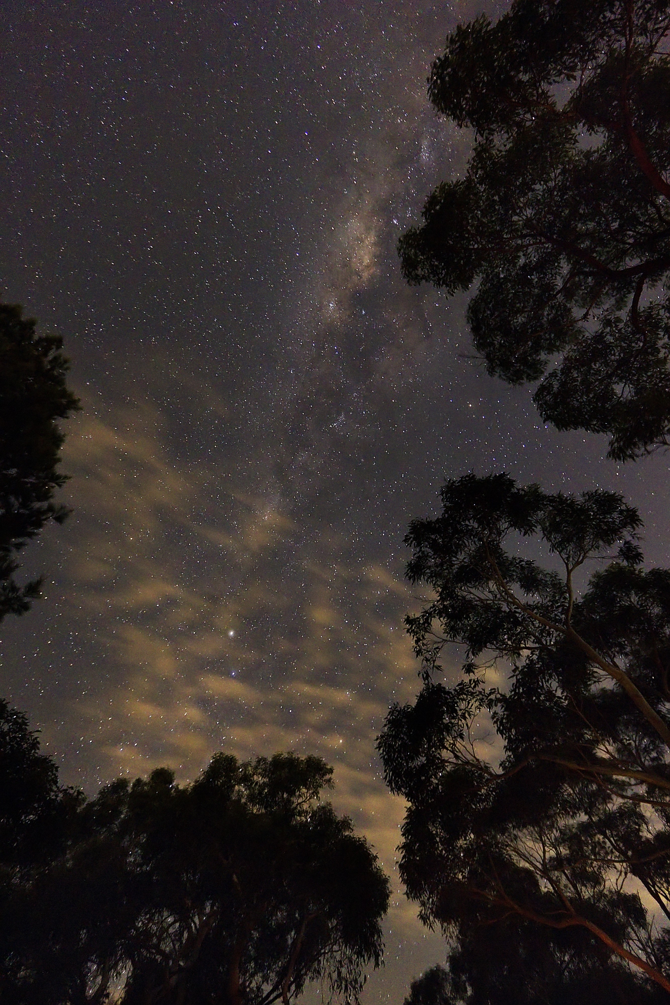 Celestial (7231470894)
