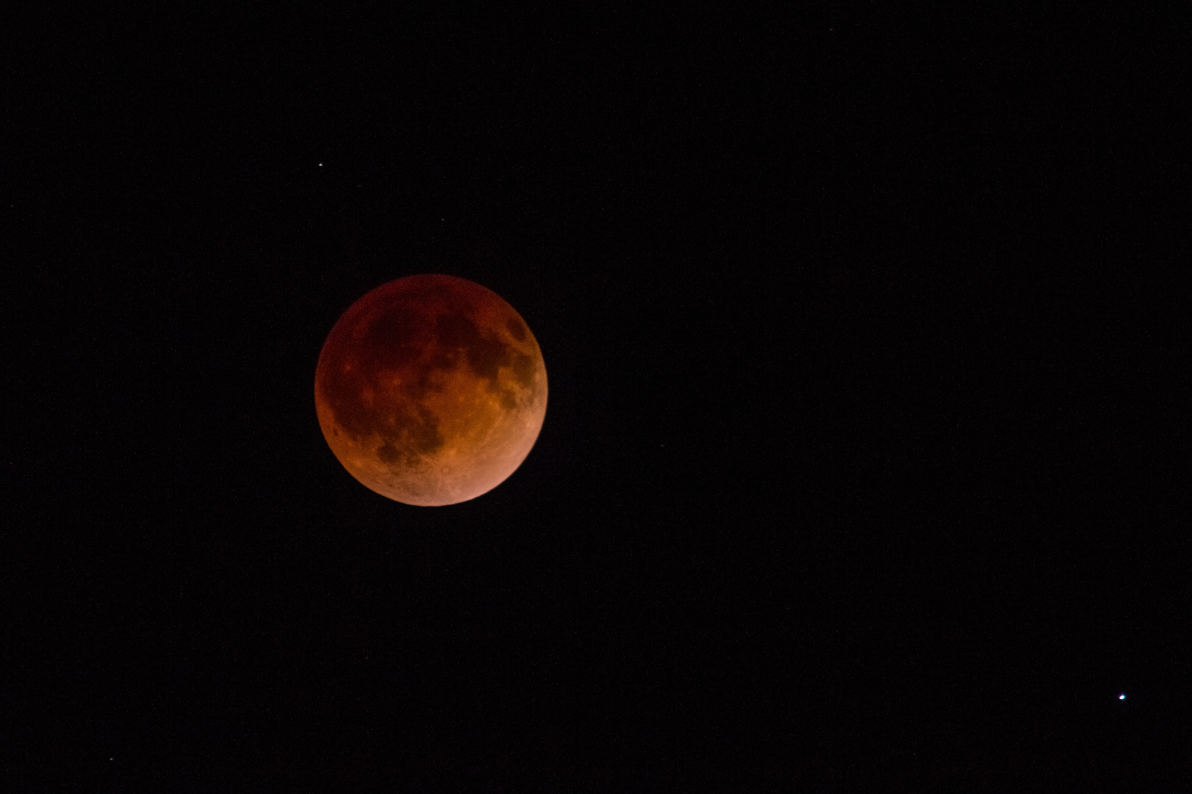 Lunar Eclipse 4-15-14 (13930507762)