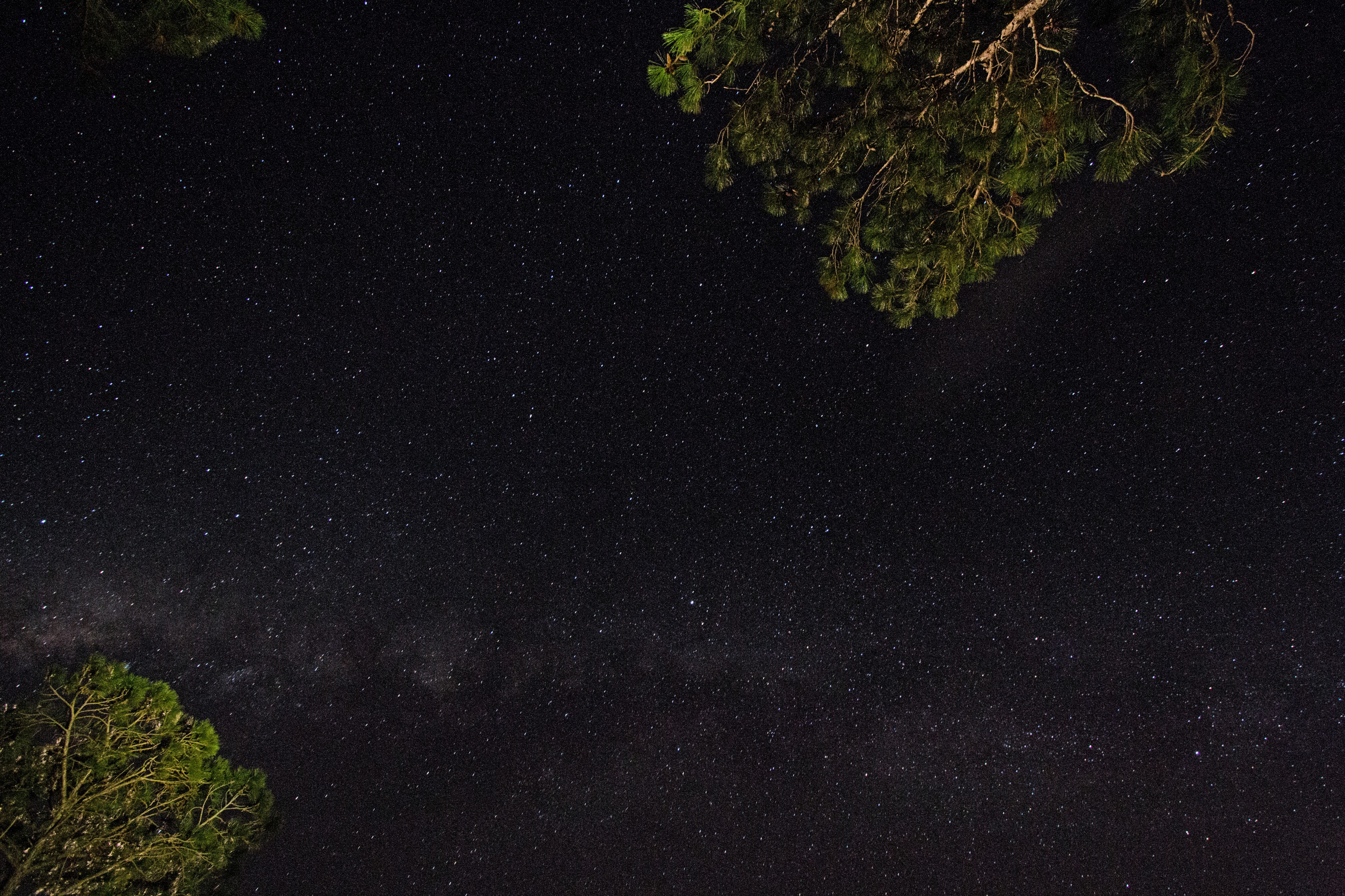 Night Sky over Chamarel (23268875420)