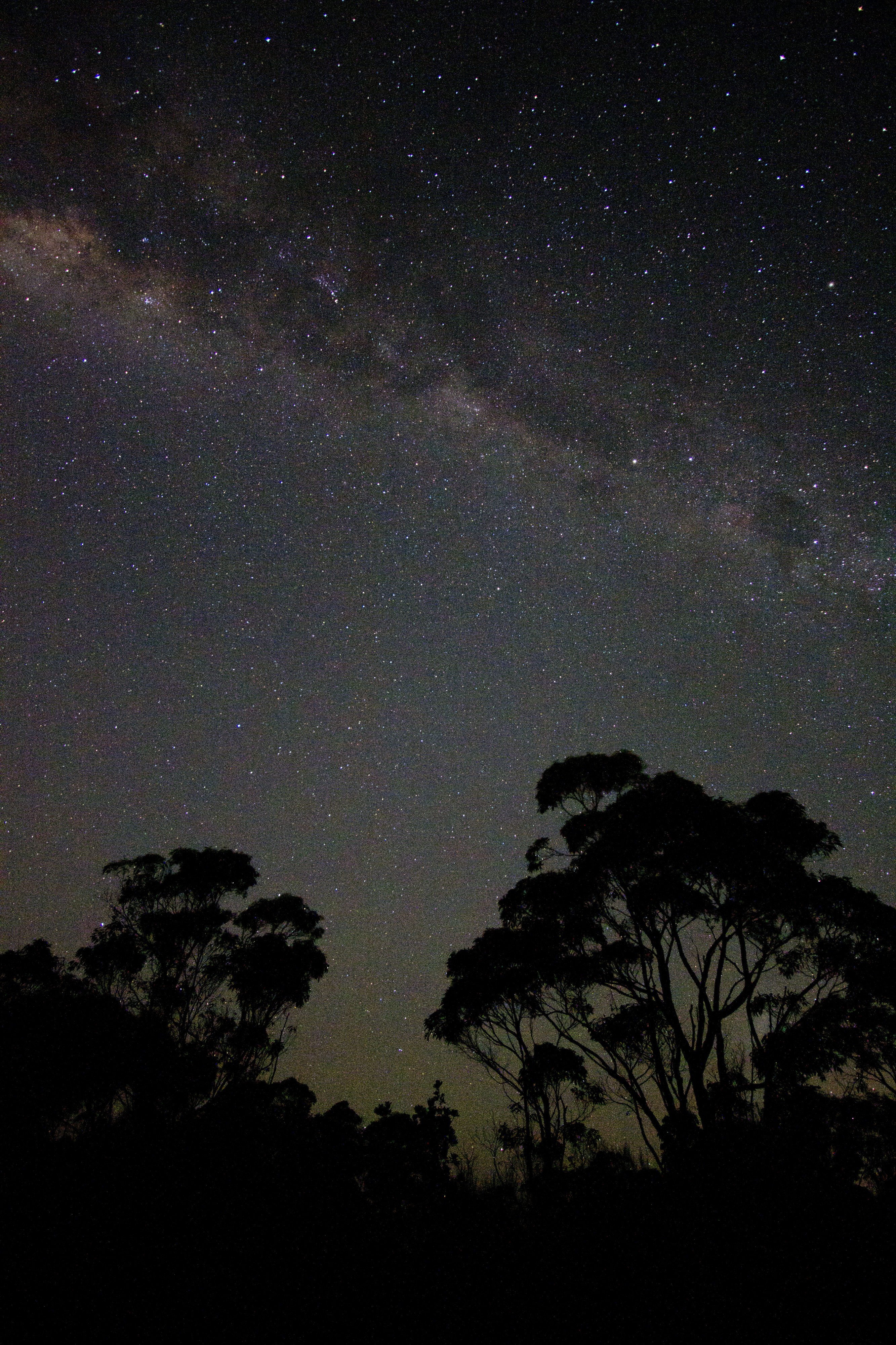 Our Galaxy (5602564034)