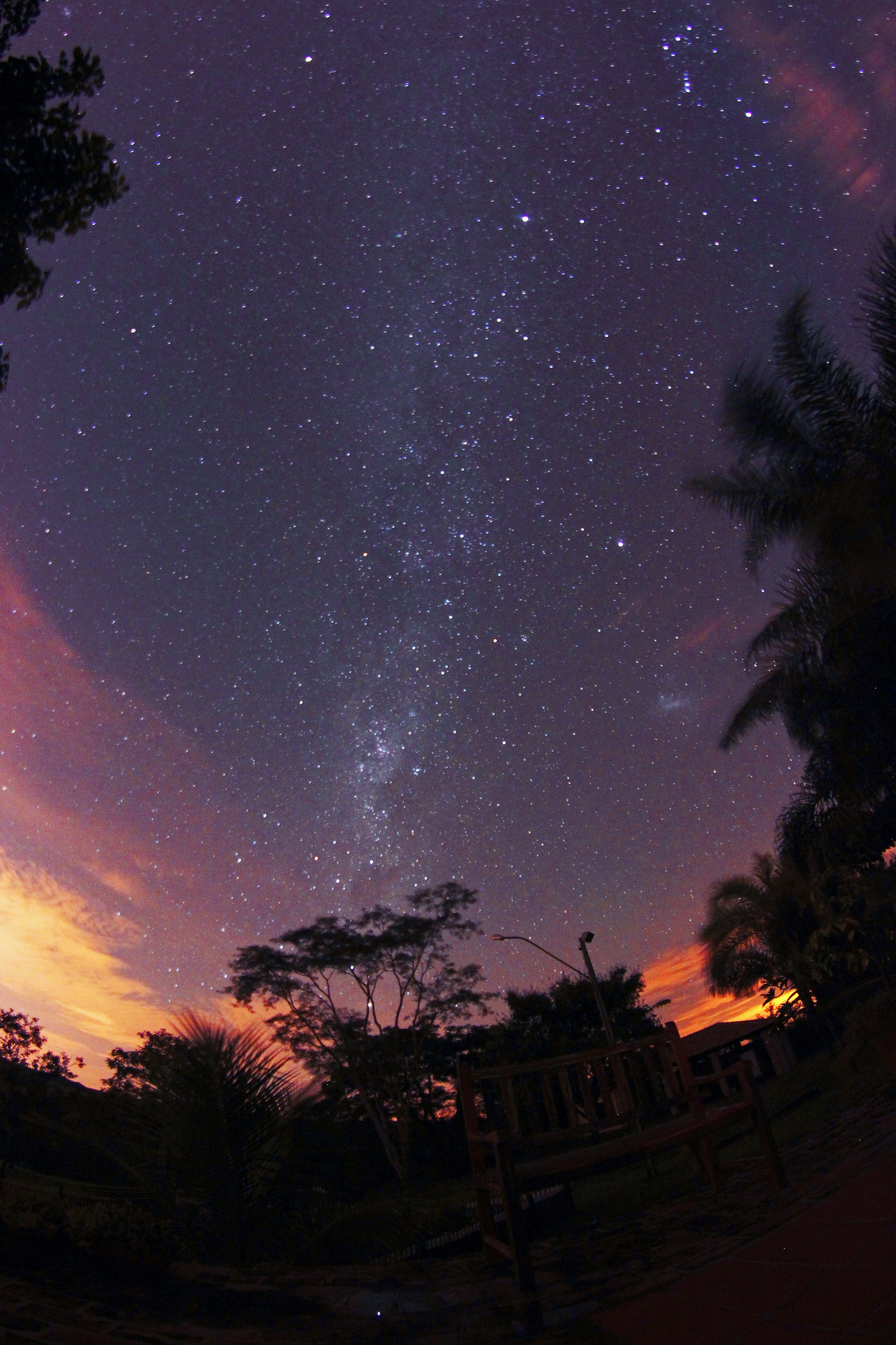 Stars In The Field