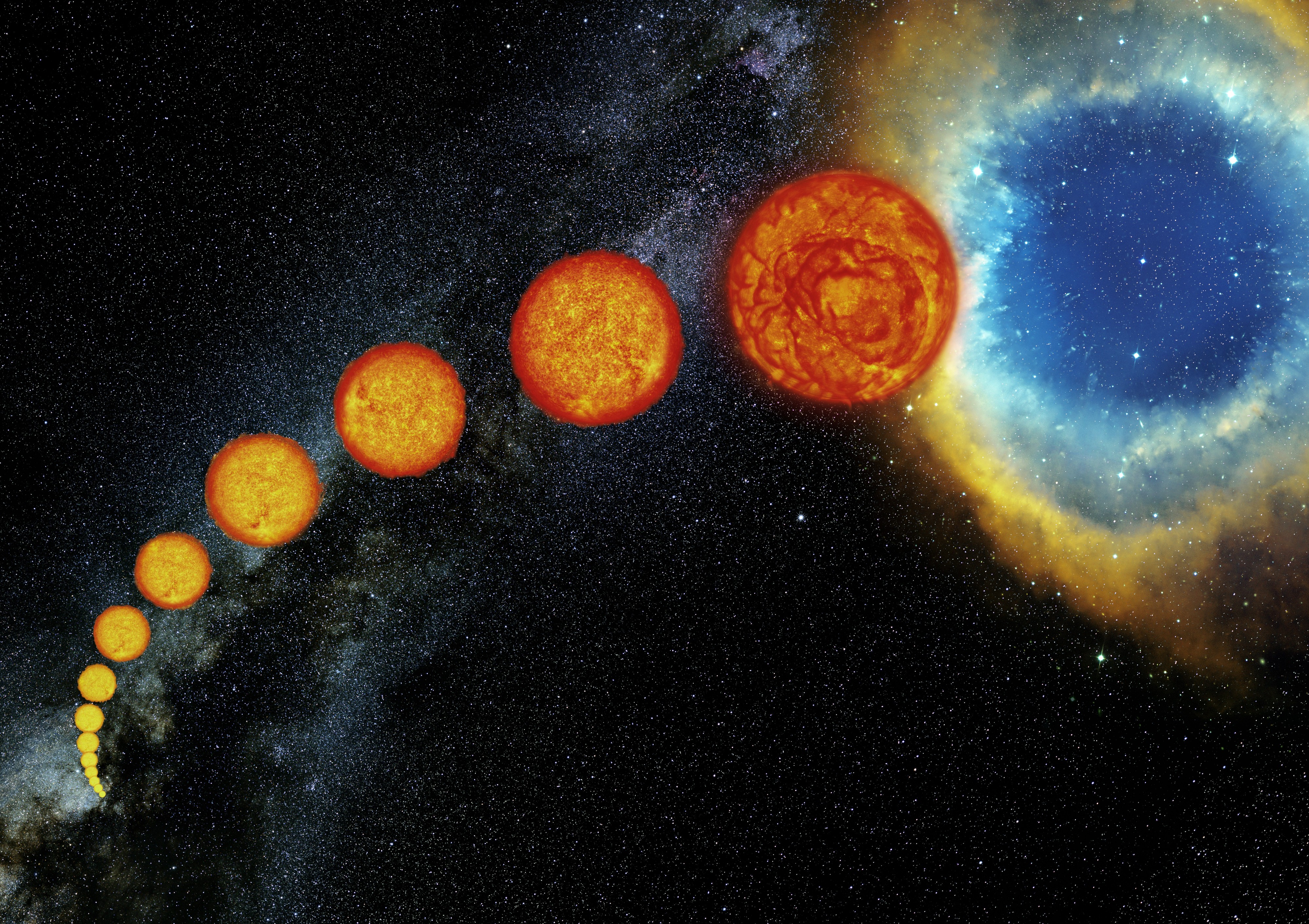 The life of Sun-like stars