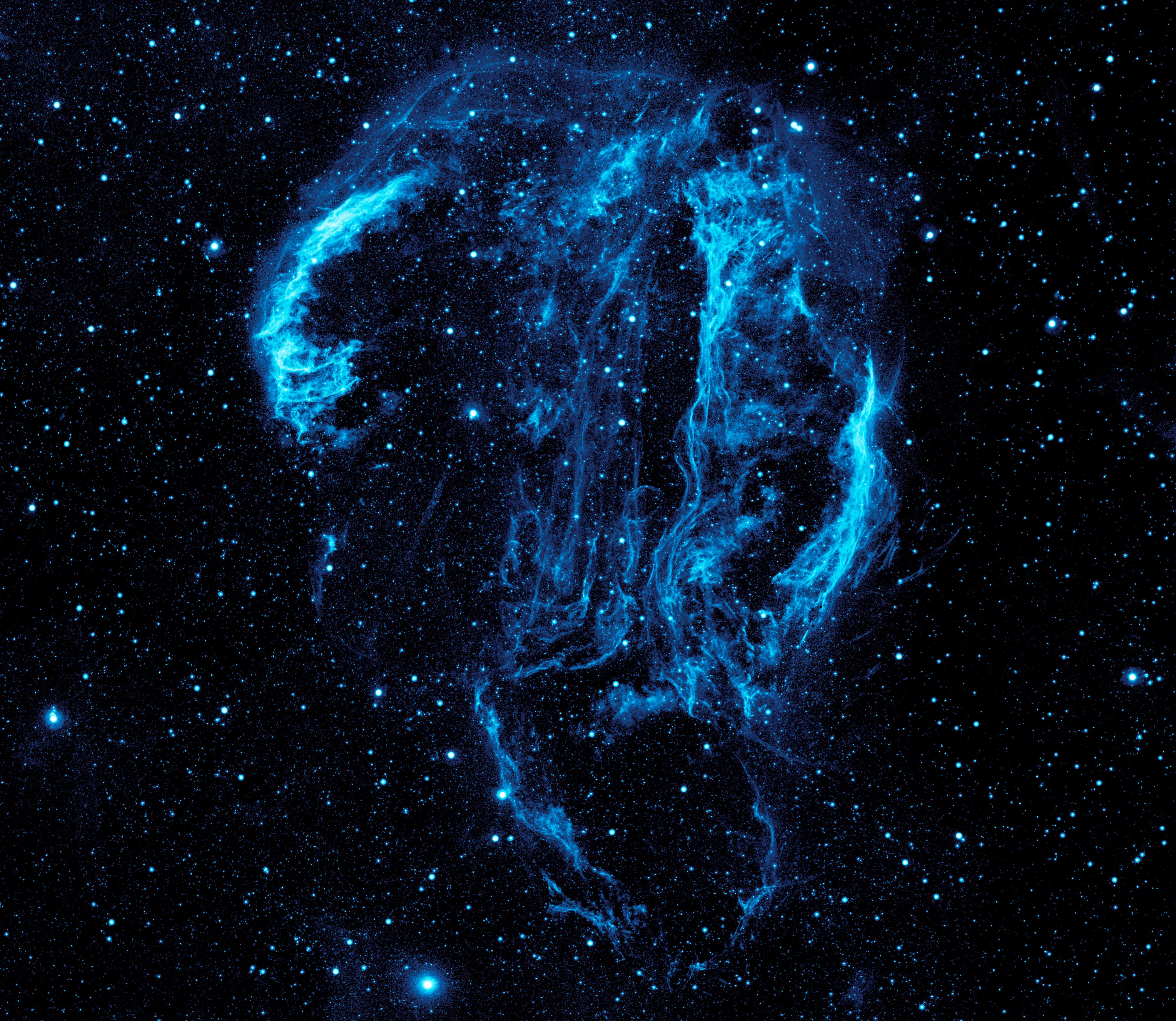 Ultraviolet image of the Cygnus Loop Nebula crop