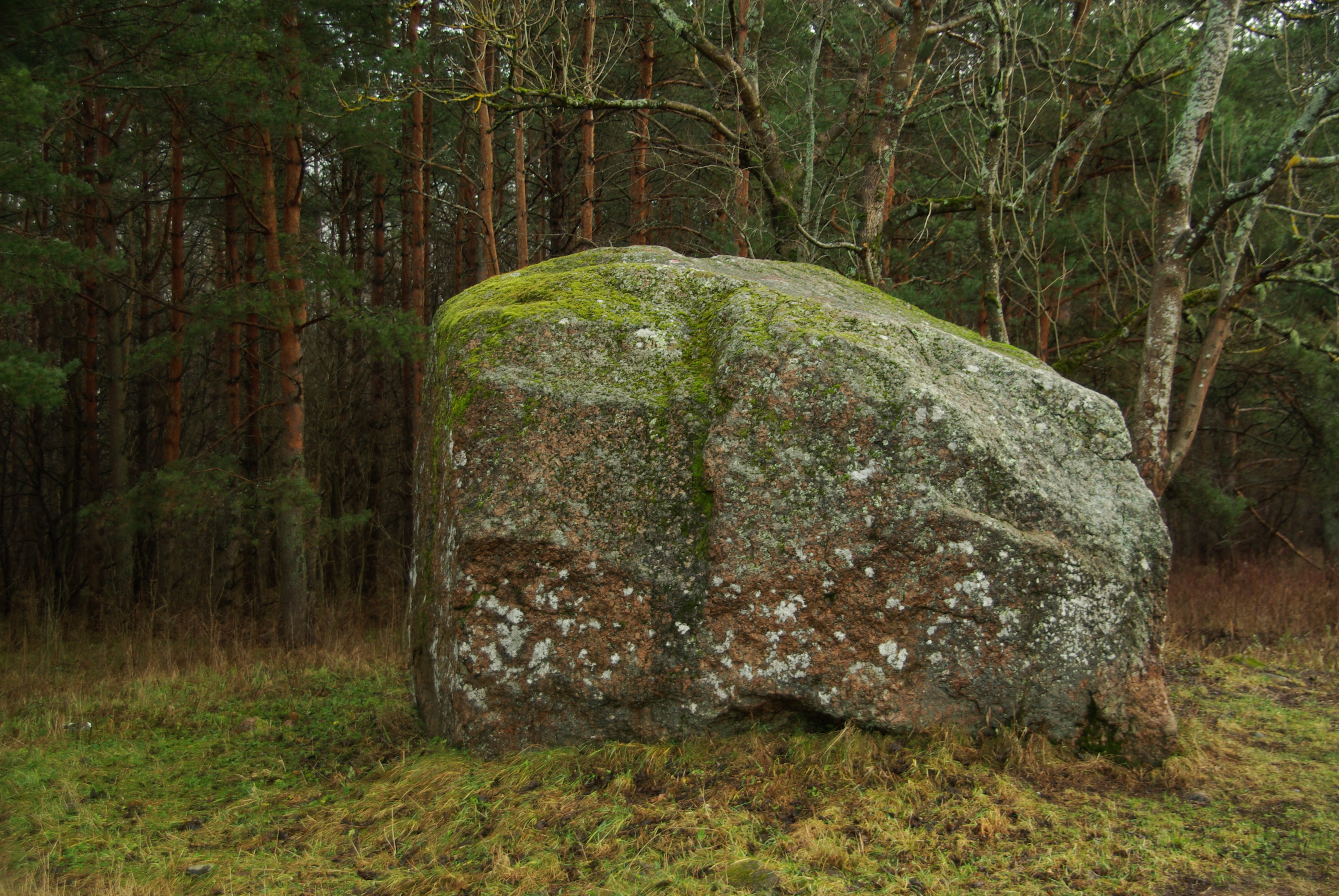 Õpiringi Suurkivi
