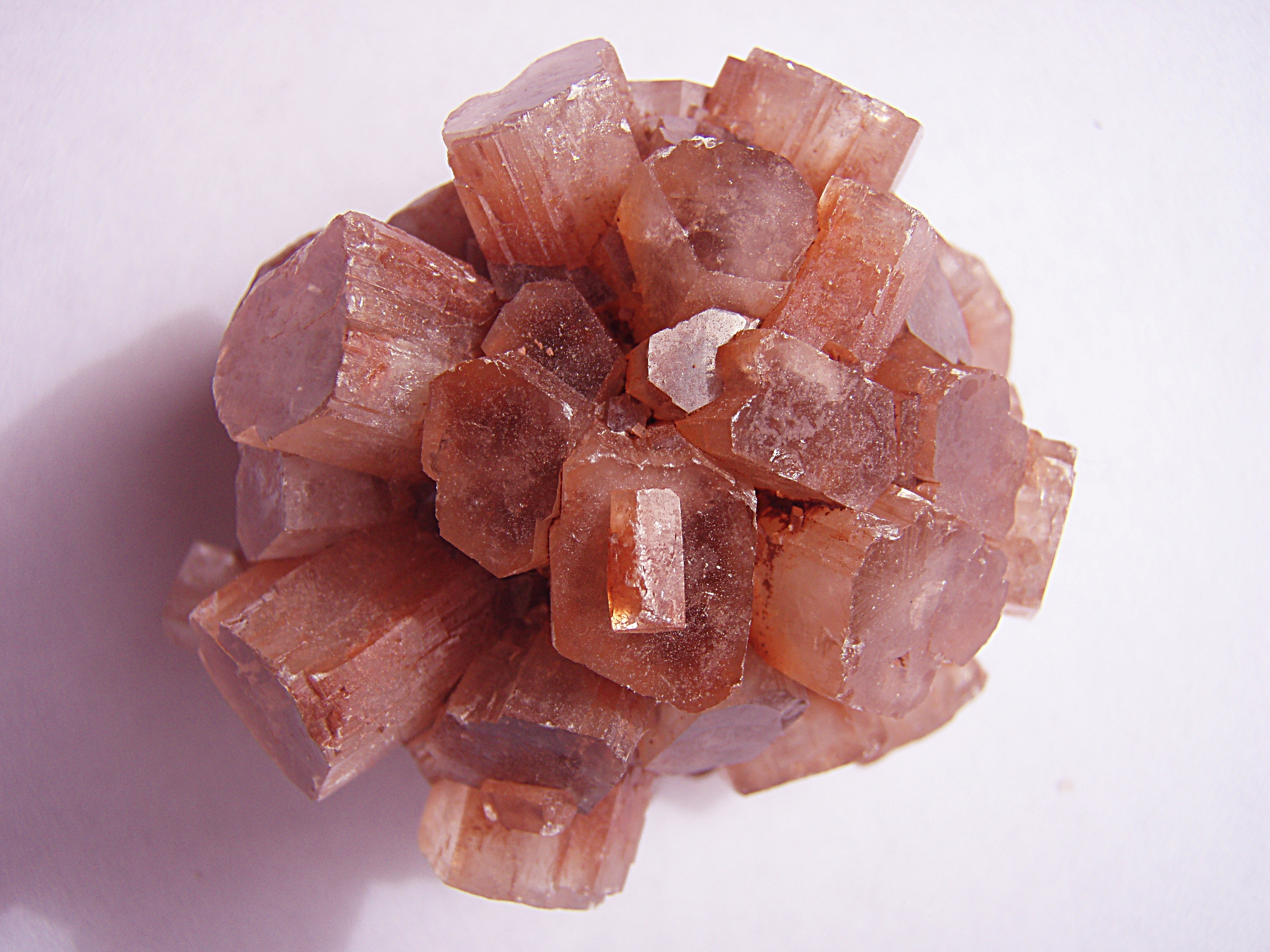 Aragonite rose