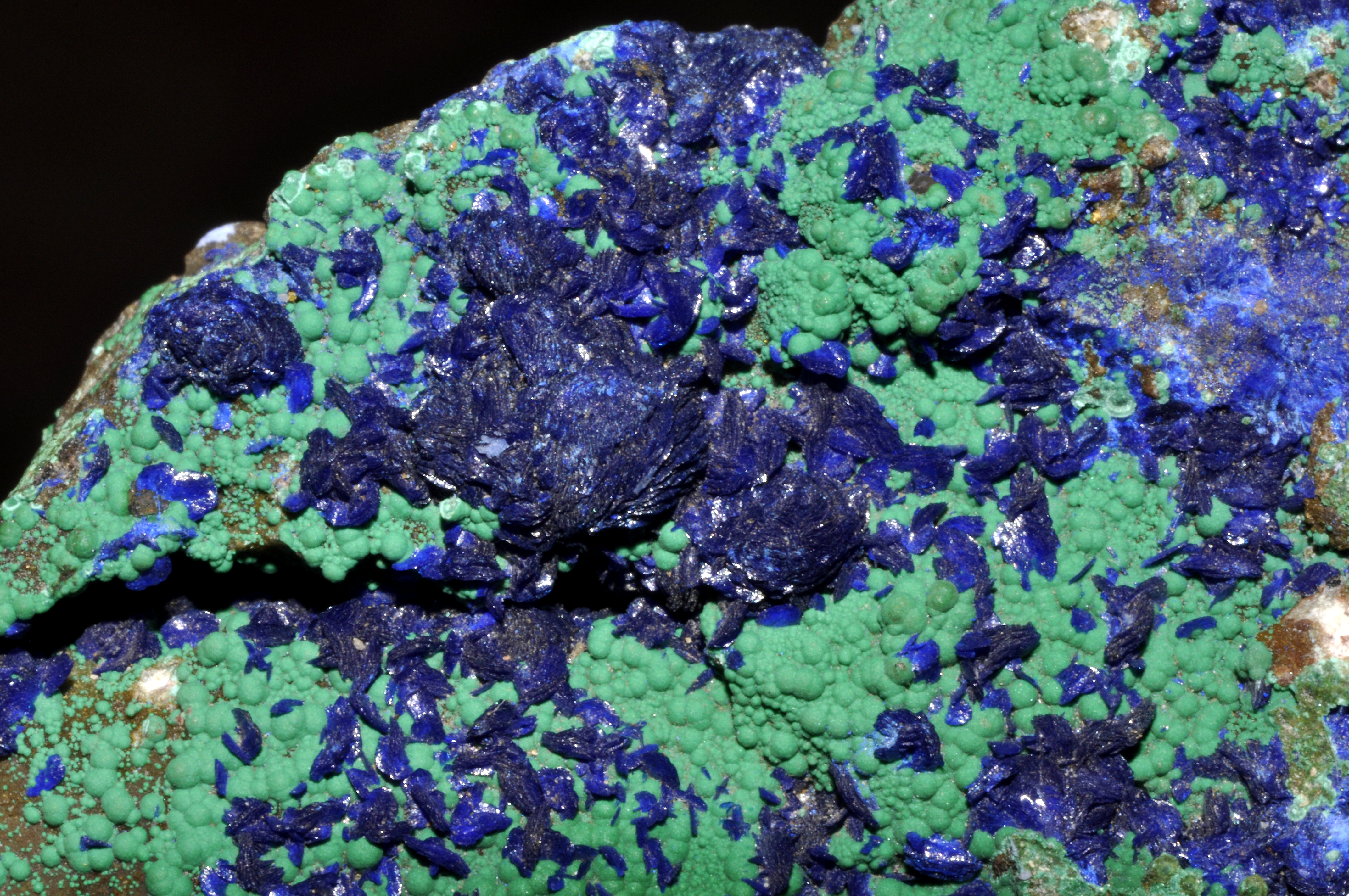 Azurite cristallisée sur malachite nodulaire (Maroc)