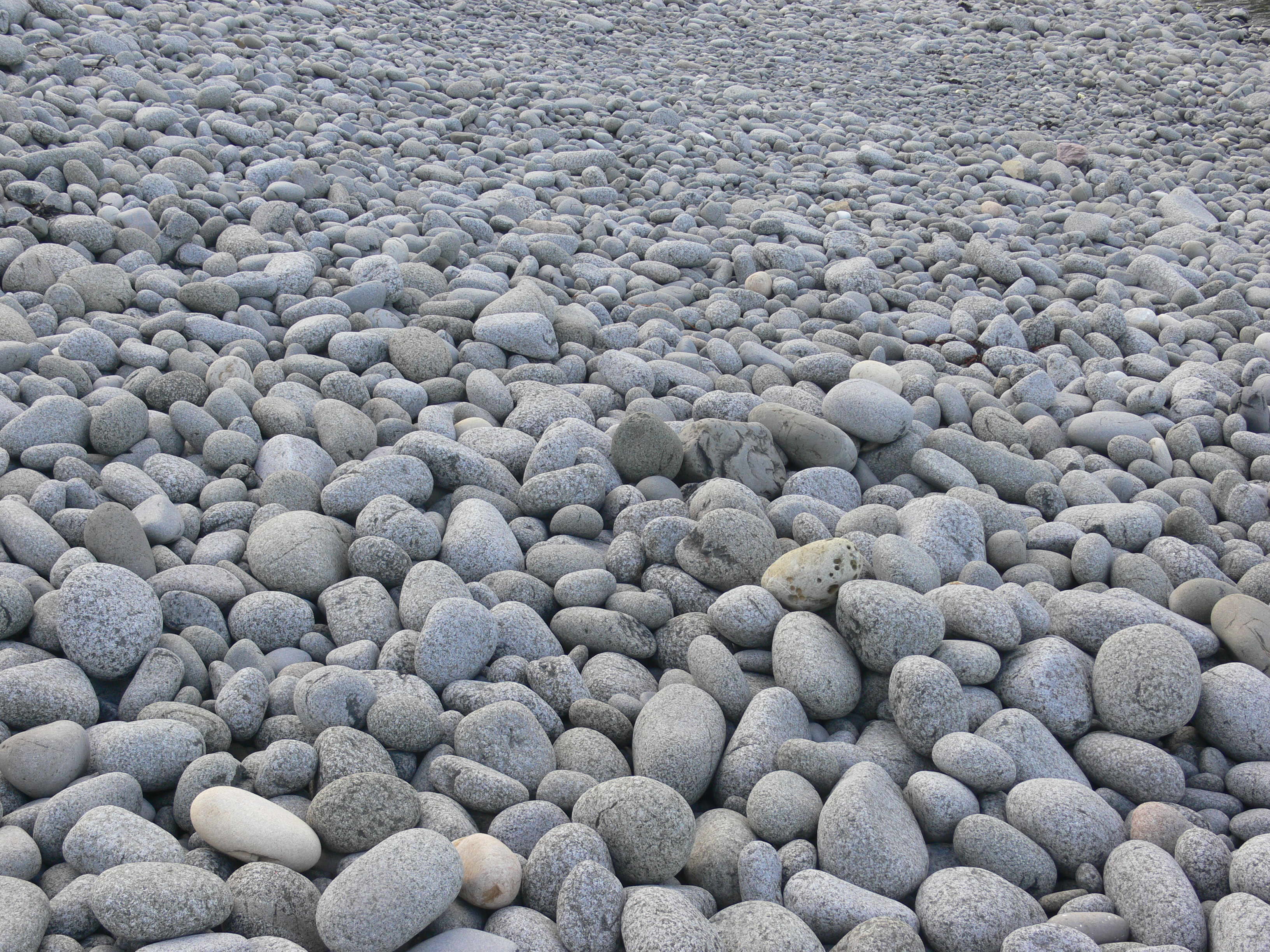 Bearreraig Bay from the beach 13