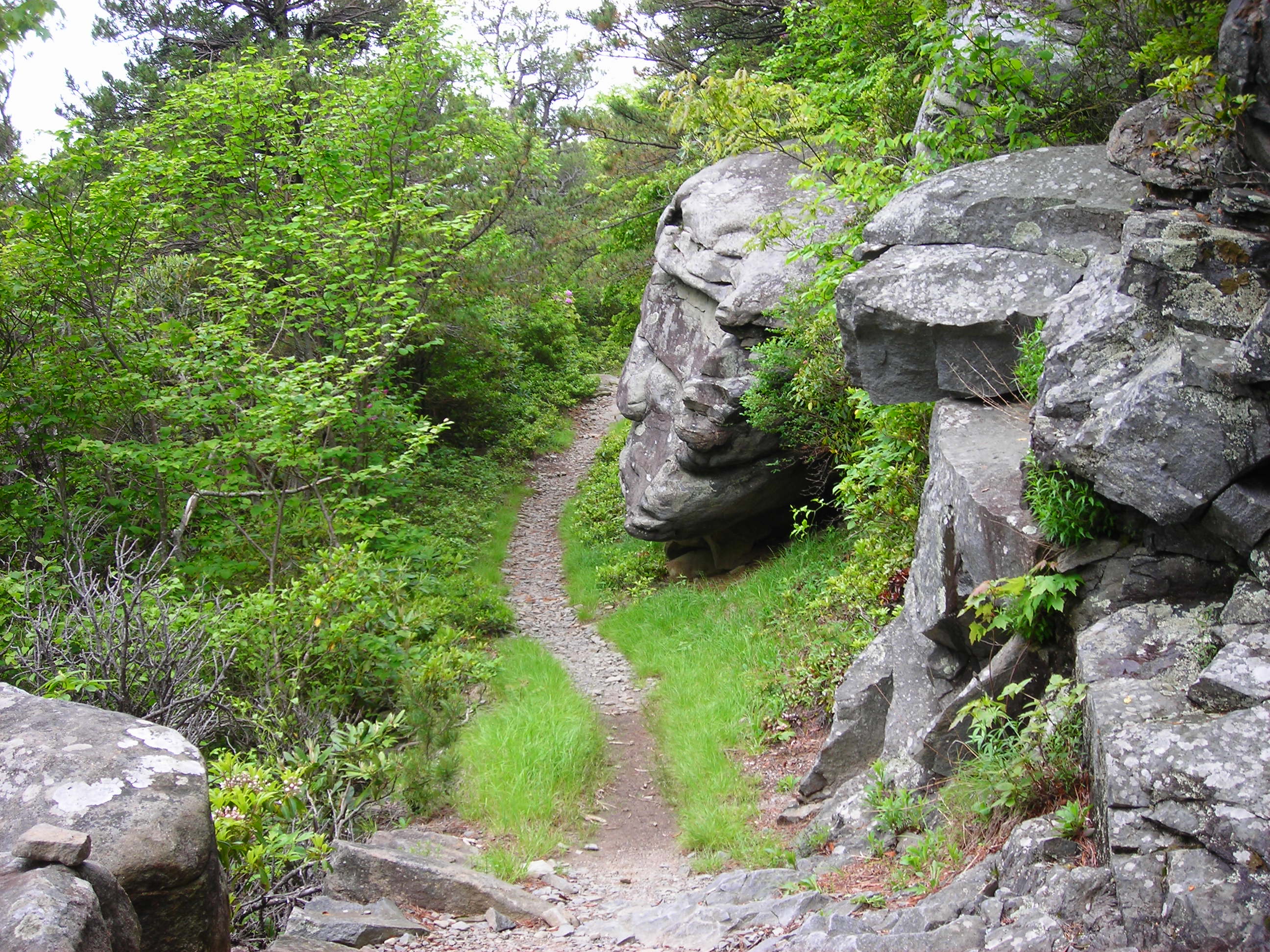 Boulders Along Rainbow Falls Trail