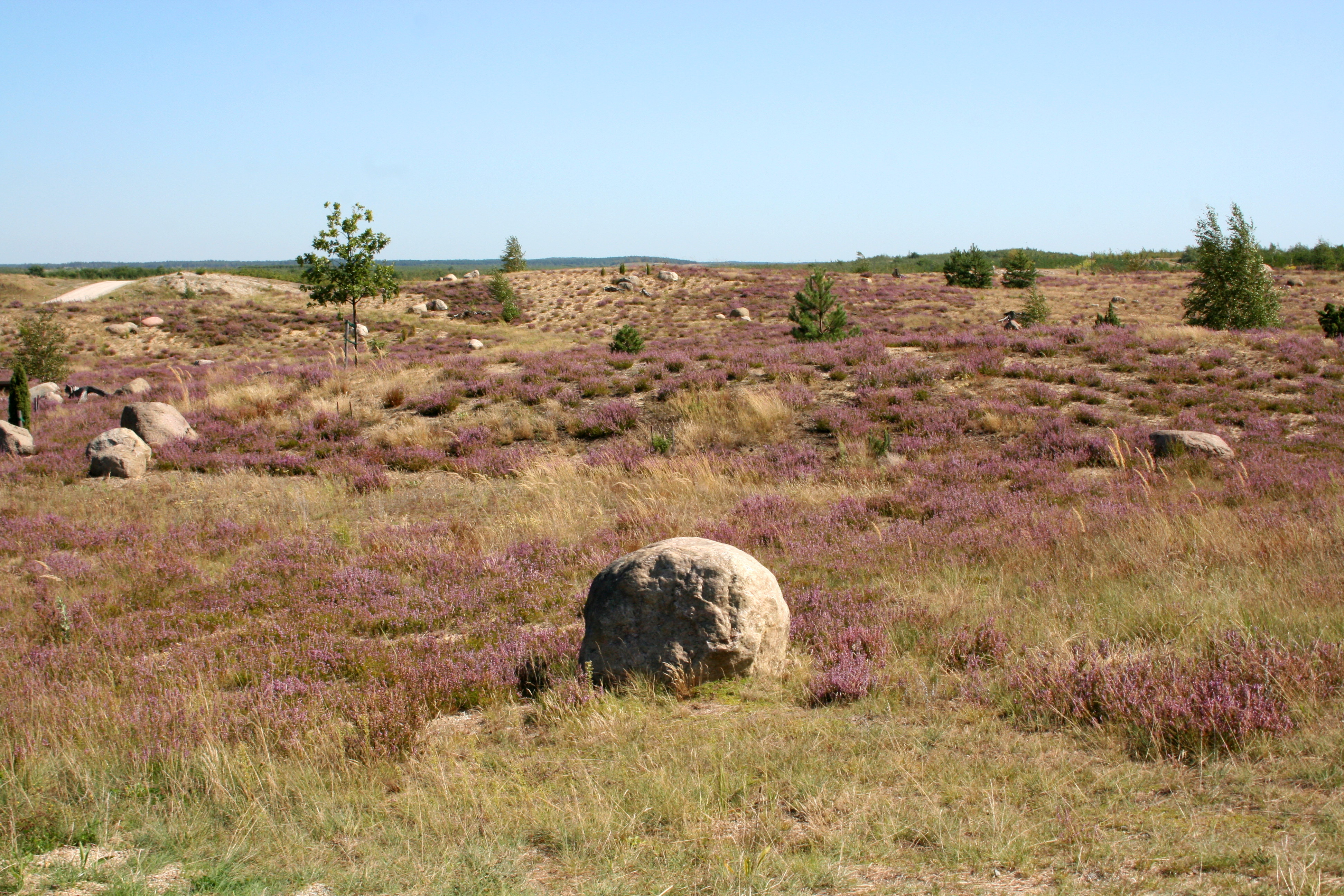 Boxberg Nochten - Findlingspark 20 ies