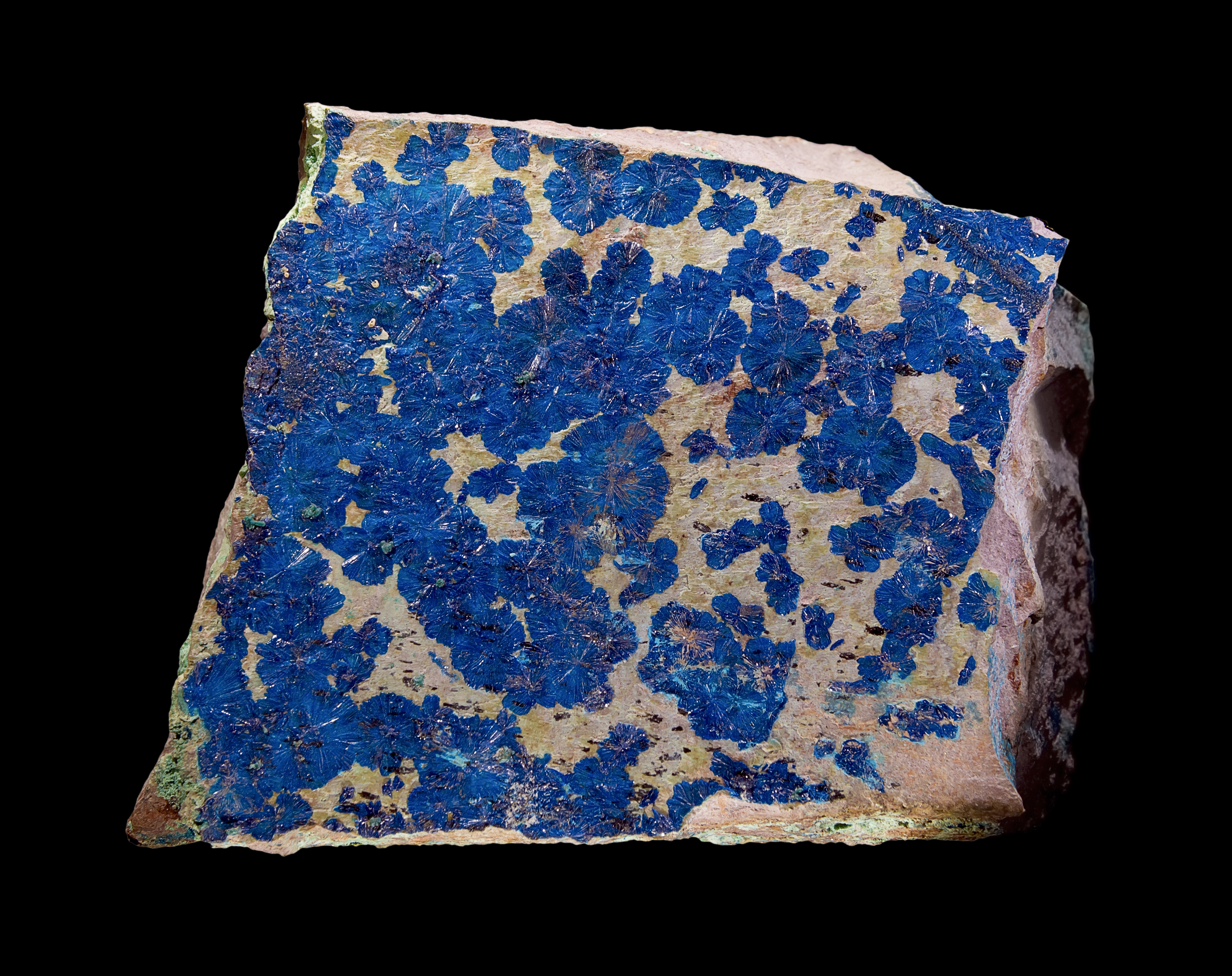 Cornetite