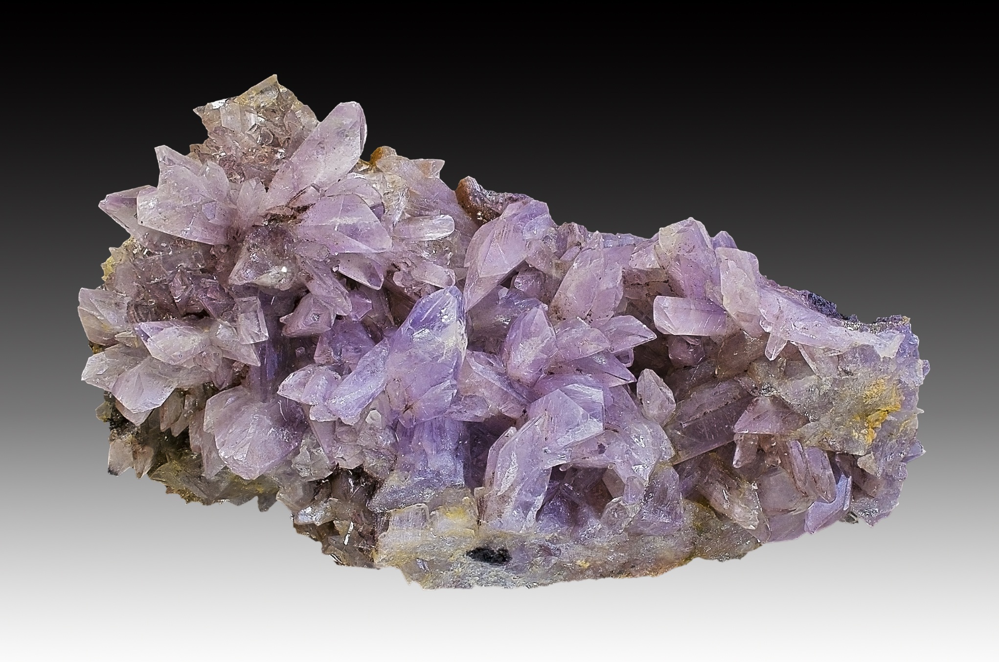 Creedite 3 photo fond