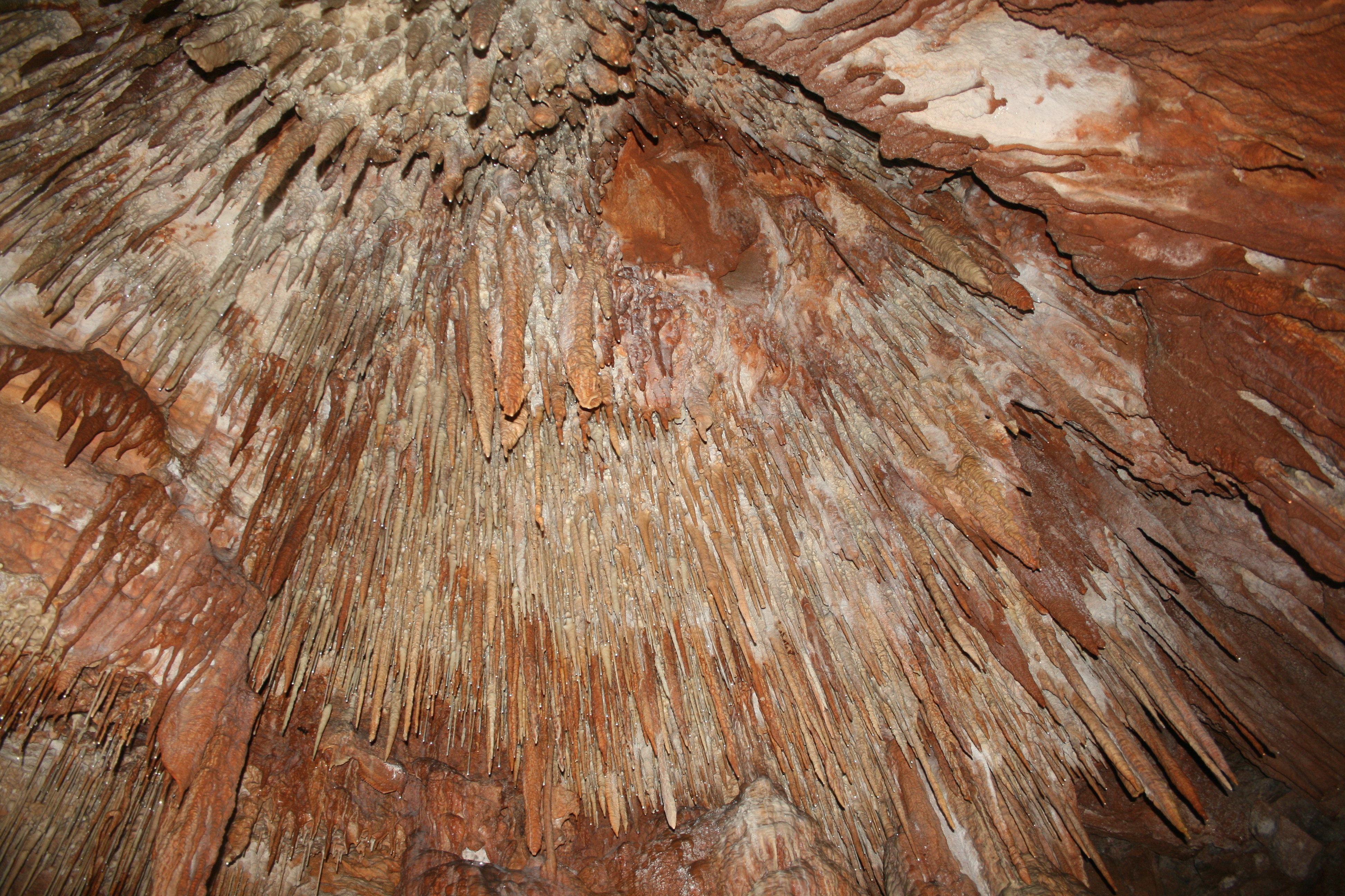 Cueva del Rey Salomon-Tasmania-Australia13