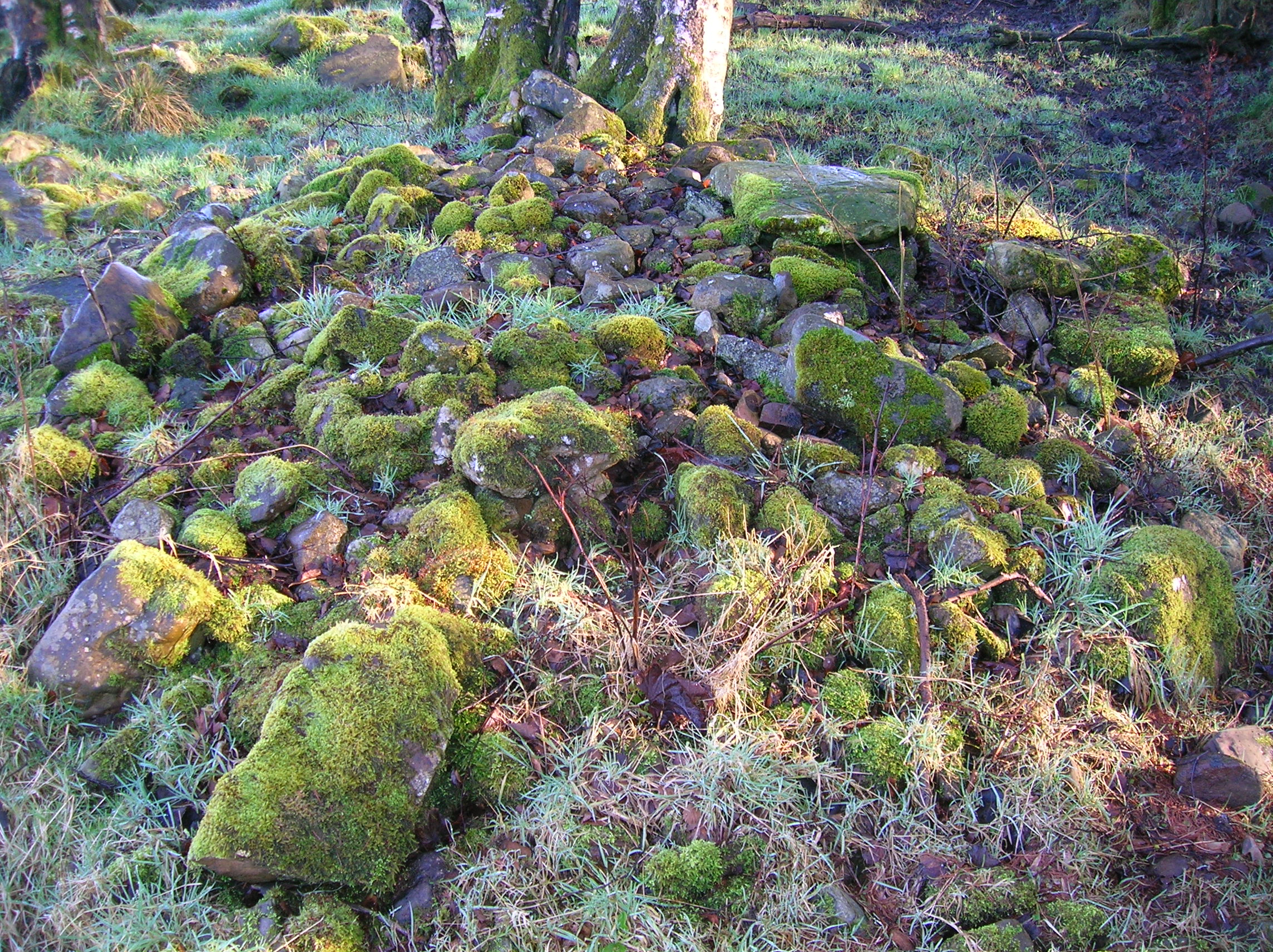 Eglinton clearance cairn