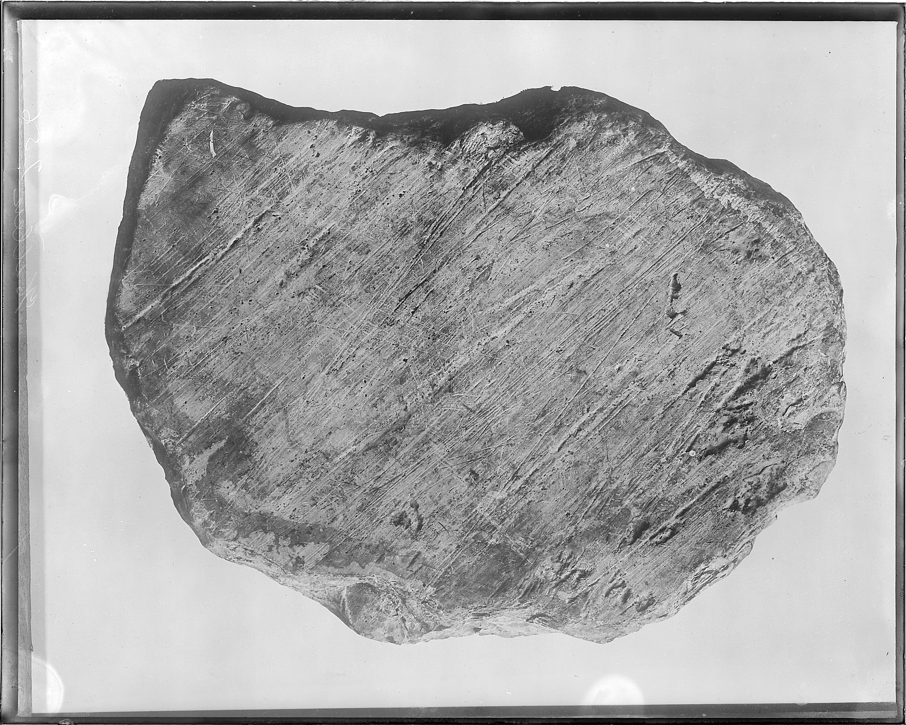 Glaciated boulder from Norway, Iowa (Benton County). Old No. 365. Negative destroyed by authority of Administrative... - NARA - 517786