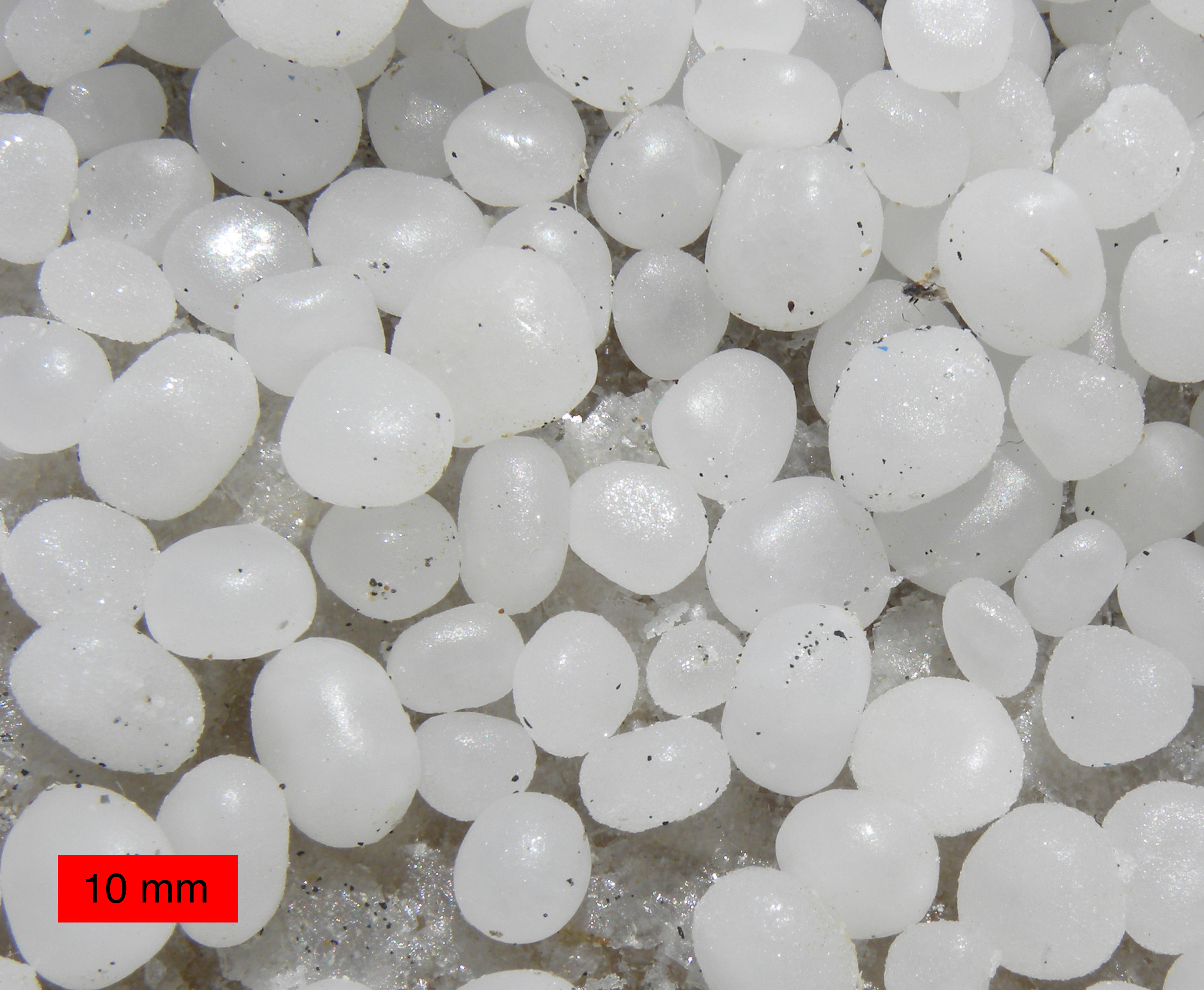 Halite Dead Sea Beach Pebbles