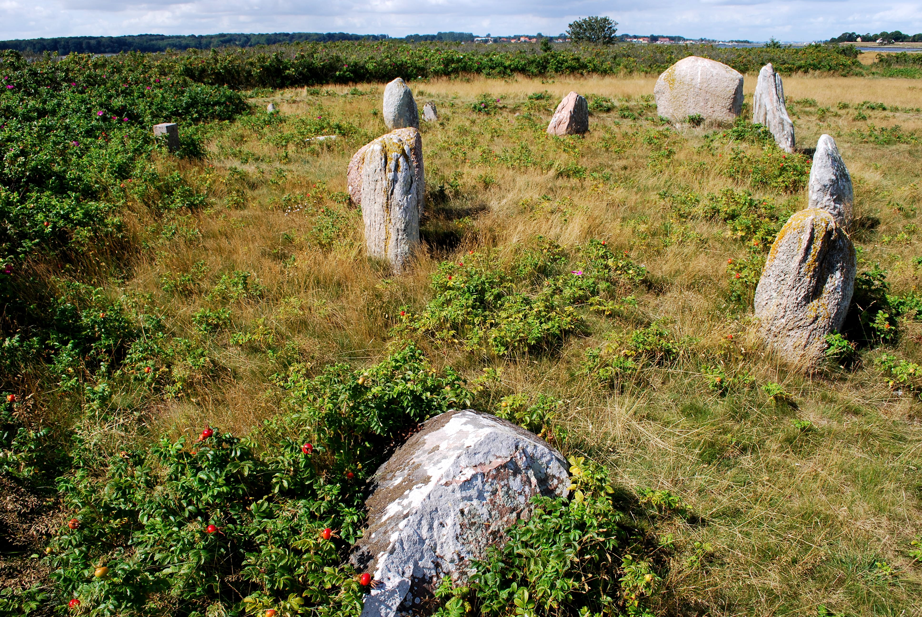 Hjarnø.Viking
