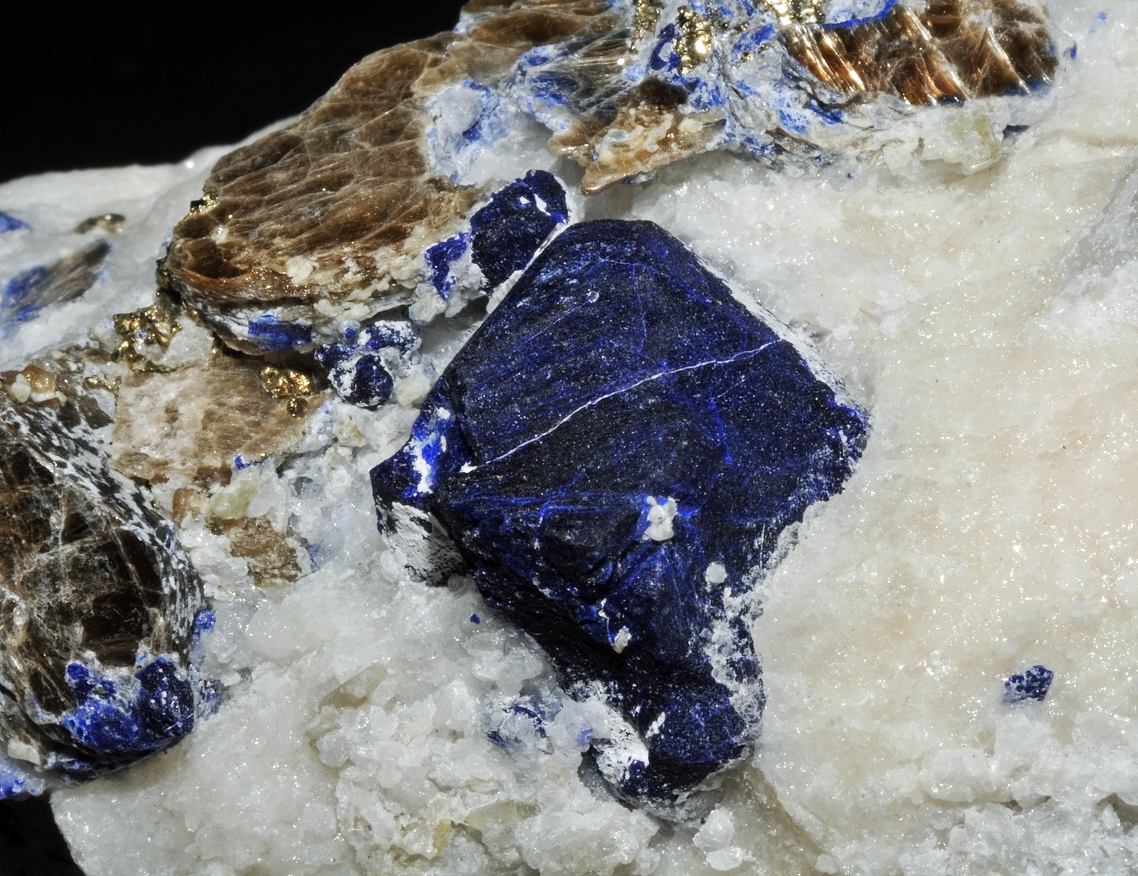 Lazurite, mica var. phlogopite et pyrite (Afghanistan)