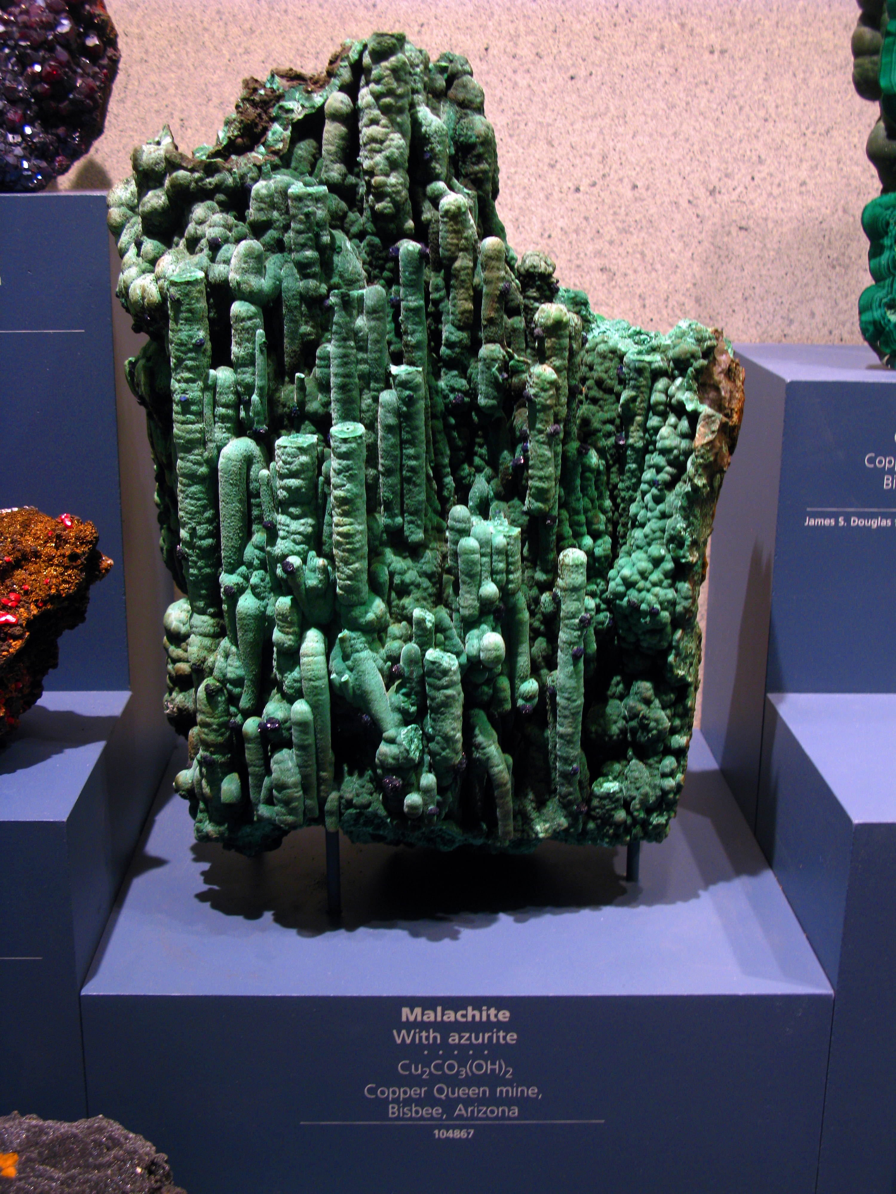 Malachite (with Azurite) - National Museum of Natural History - Washington, D.C.